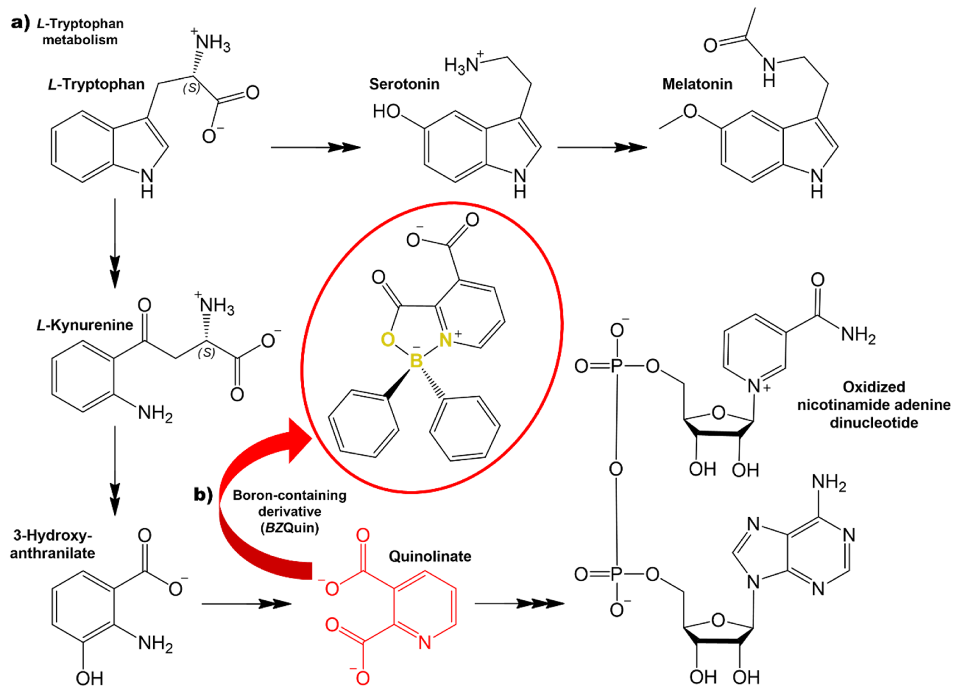 Inorganics 11 00094 g001