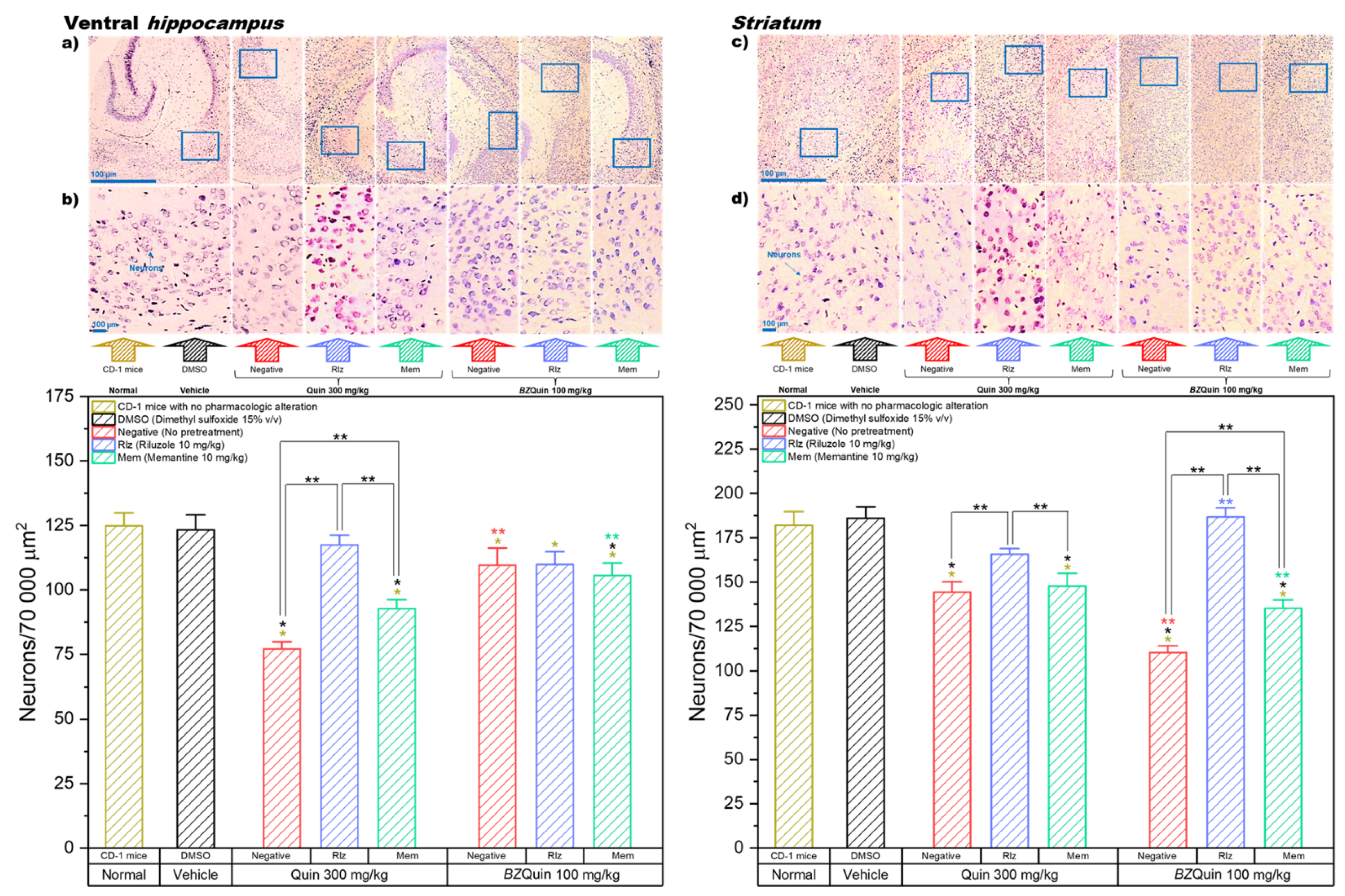 Inorganics 11 00094 g010