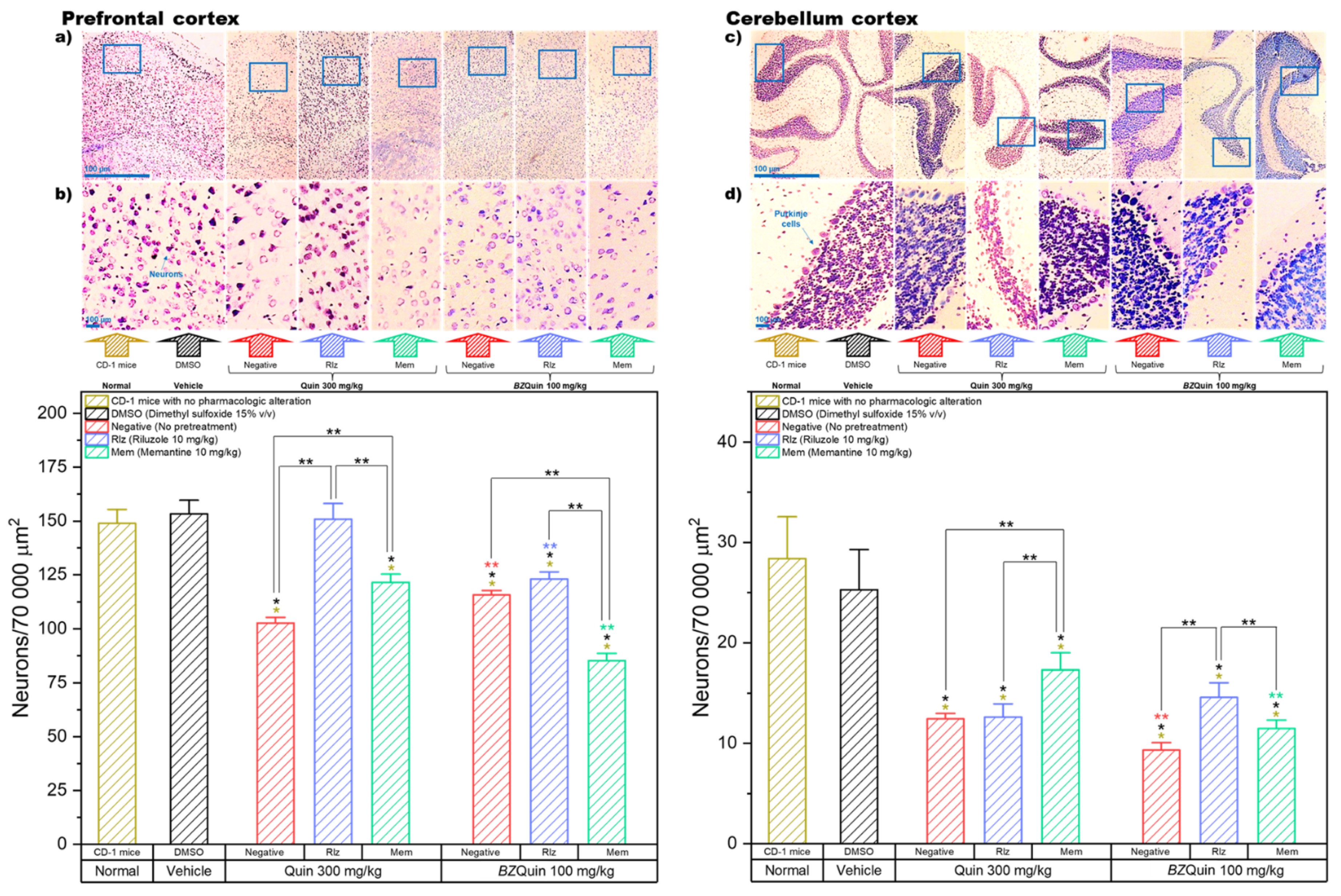 Inorganics 11 00094 g011