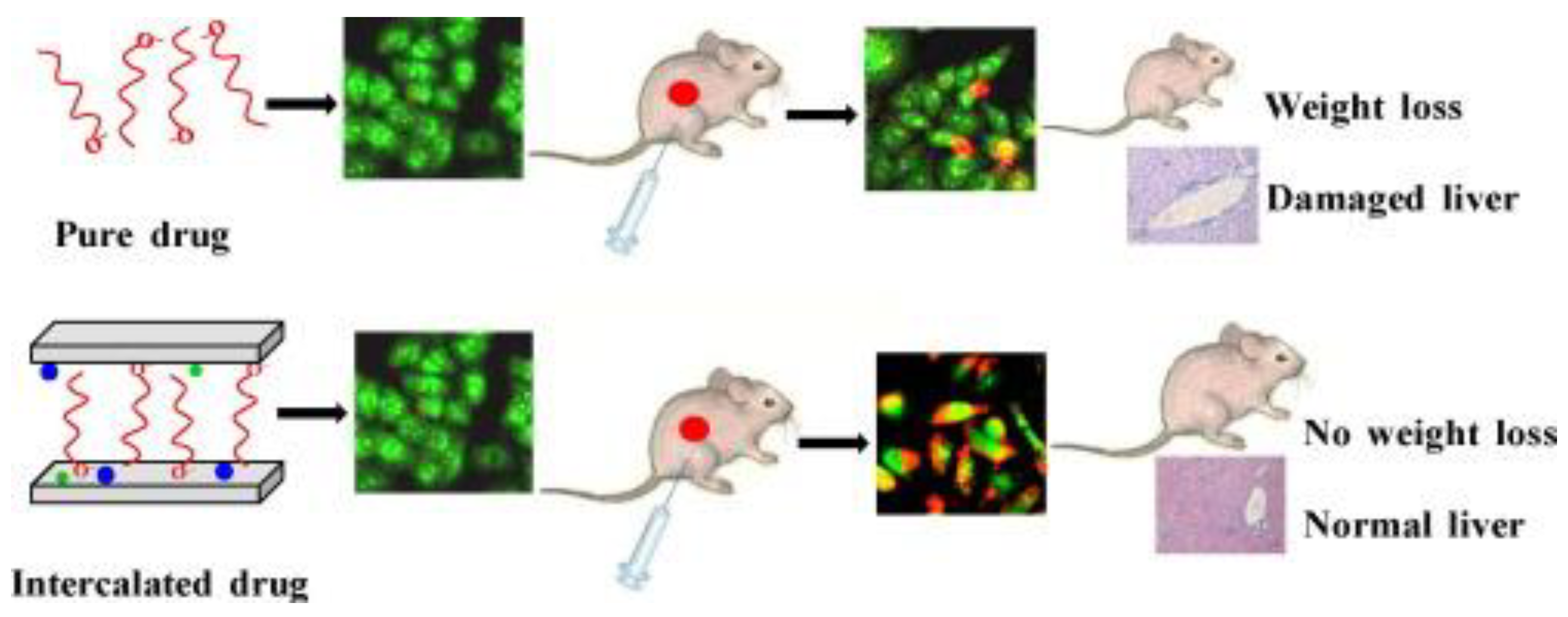 Inorganics 11 00121 g008