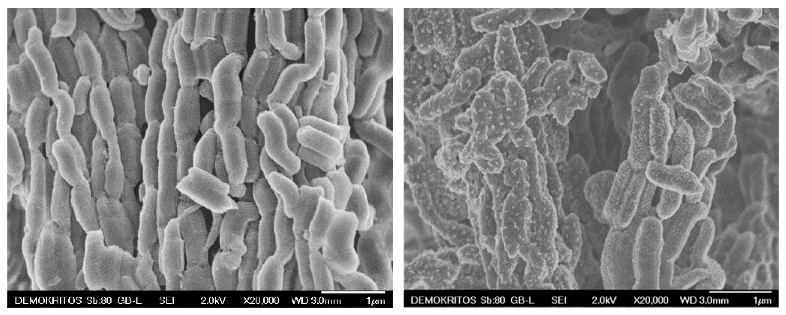 Inorganics 11 00128 g002 Inorganics 11 00128 g002