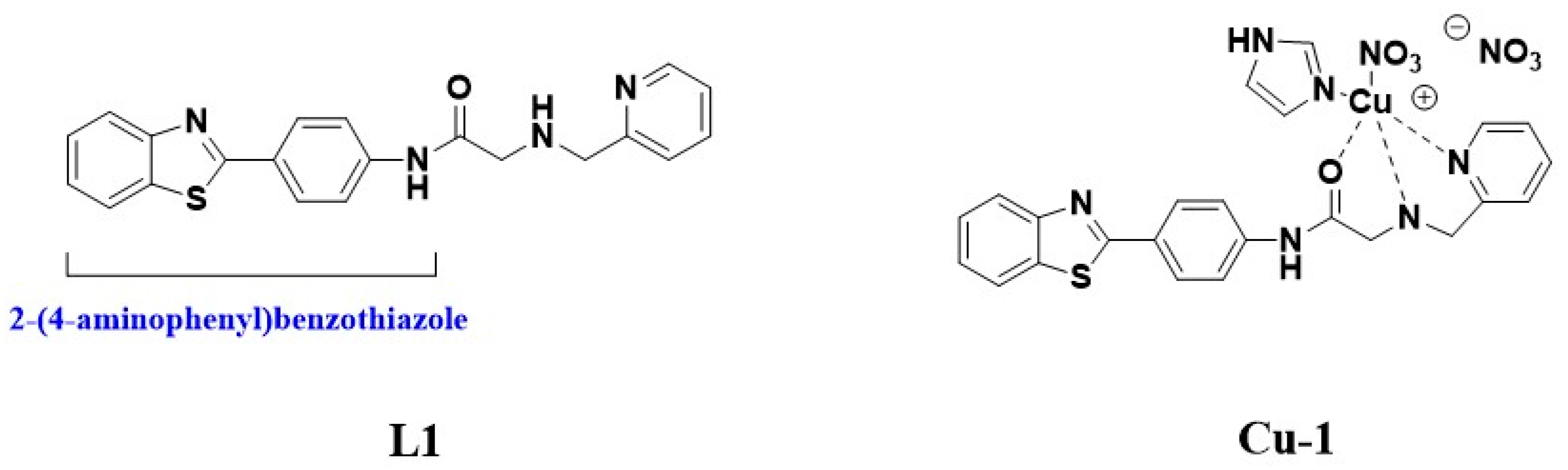 Inorganics 11 00132 g001
