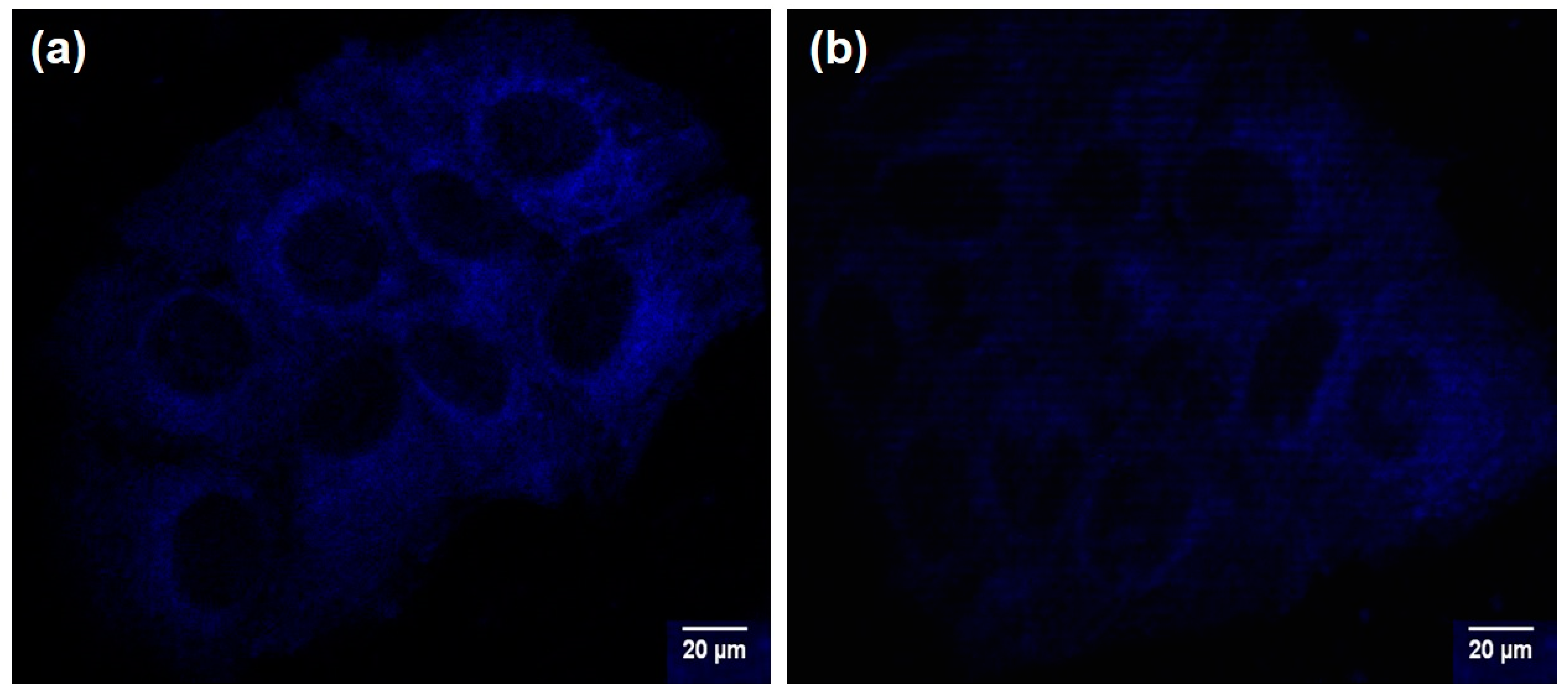 Inorganics 11 00132 g009