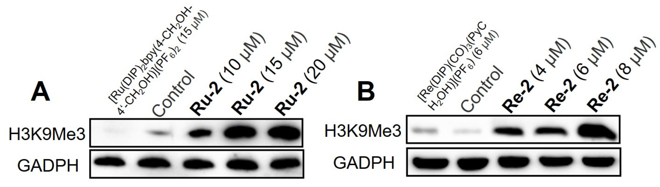 Inorganics 11 00142 g001 Inorganics 11 00142 g001