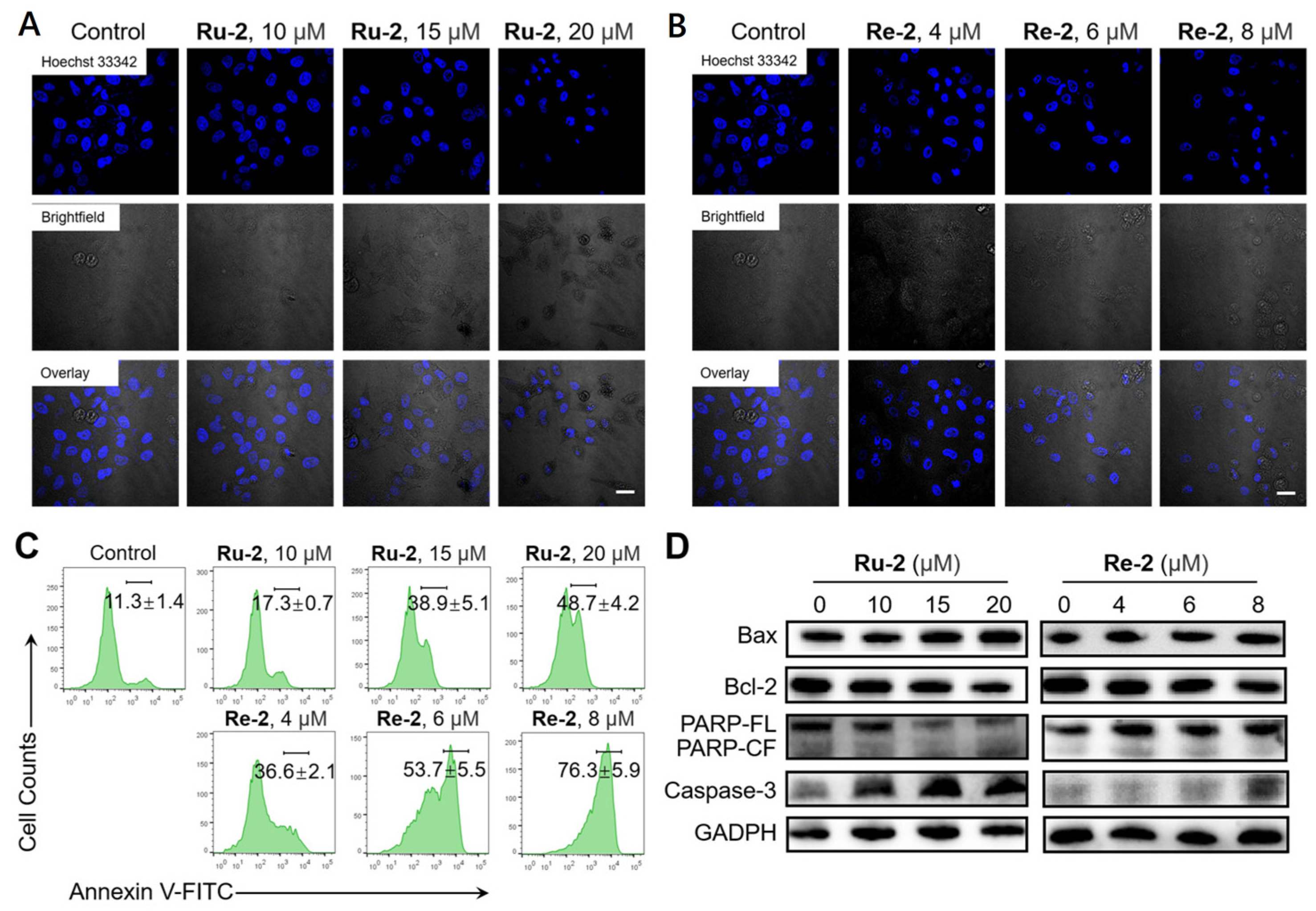 Inorganics 11 00142 g005 Inorganics 11 00142 g005