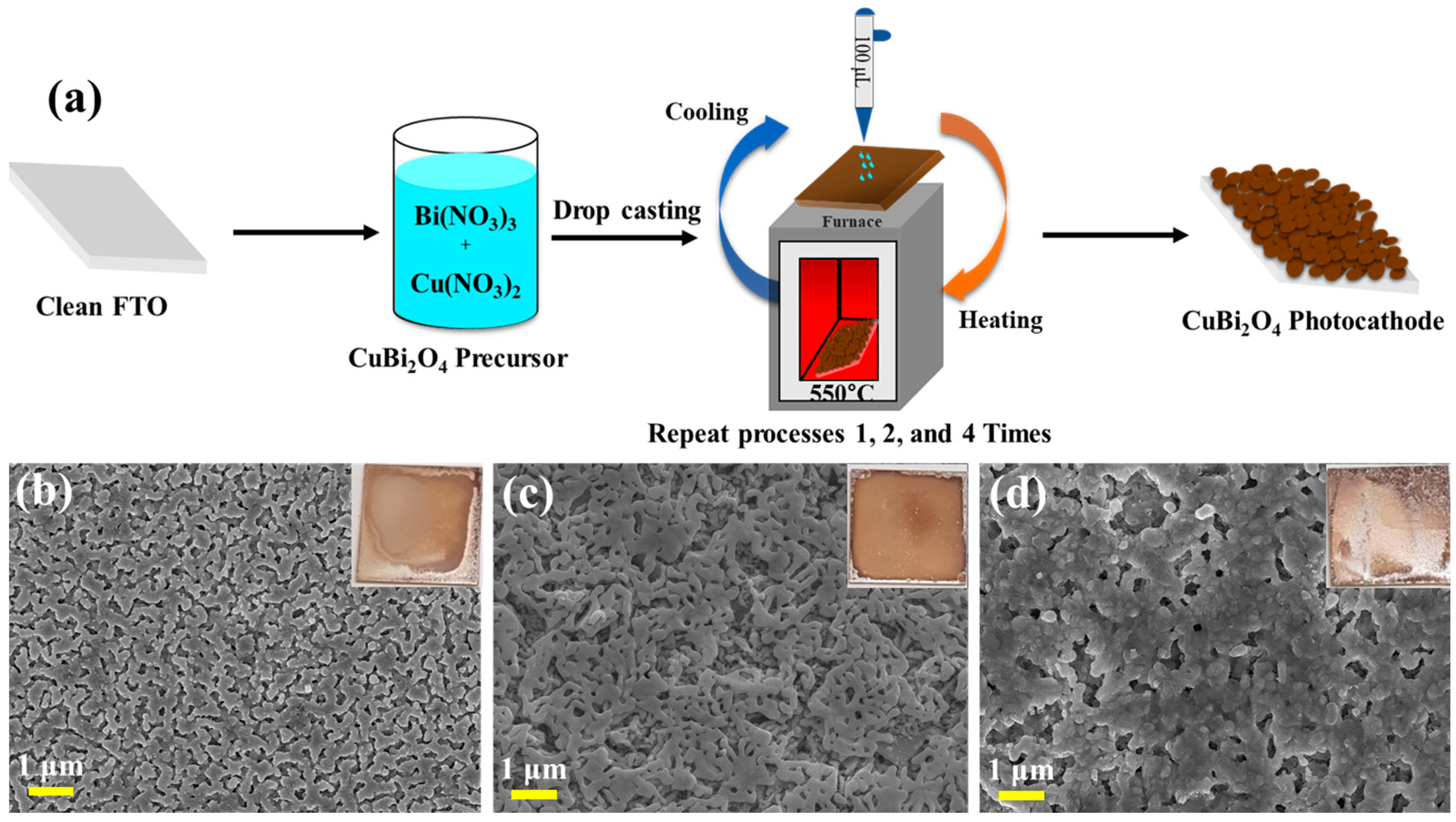 Inorganics 11 00147 g001