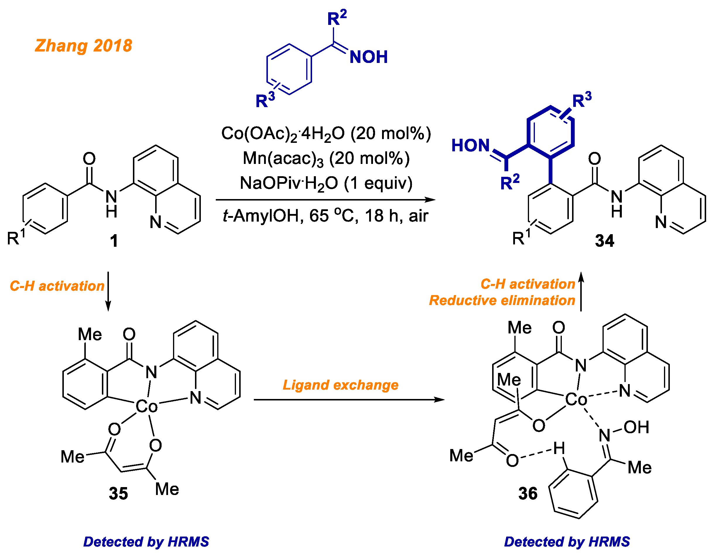 Inorganics 11 00194 sch014