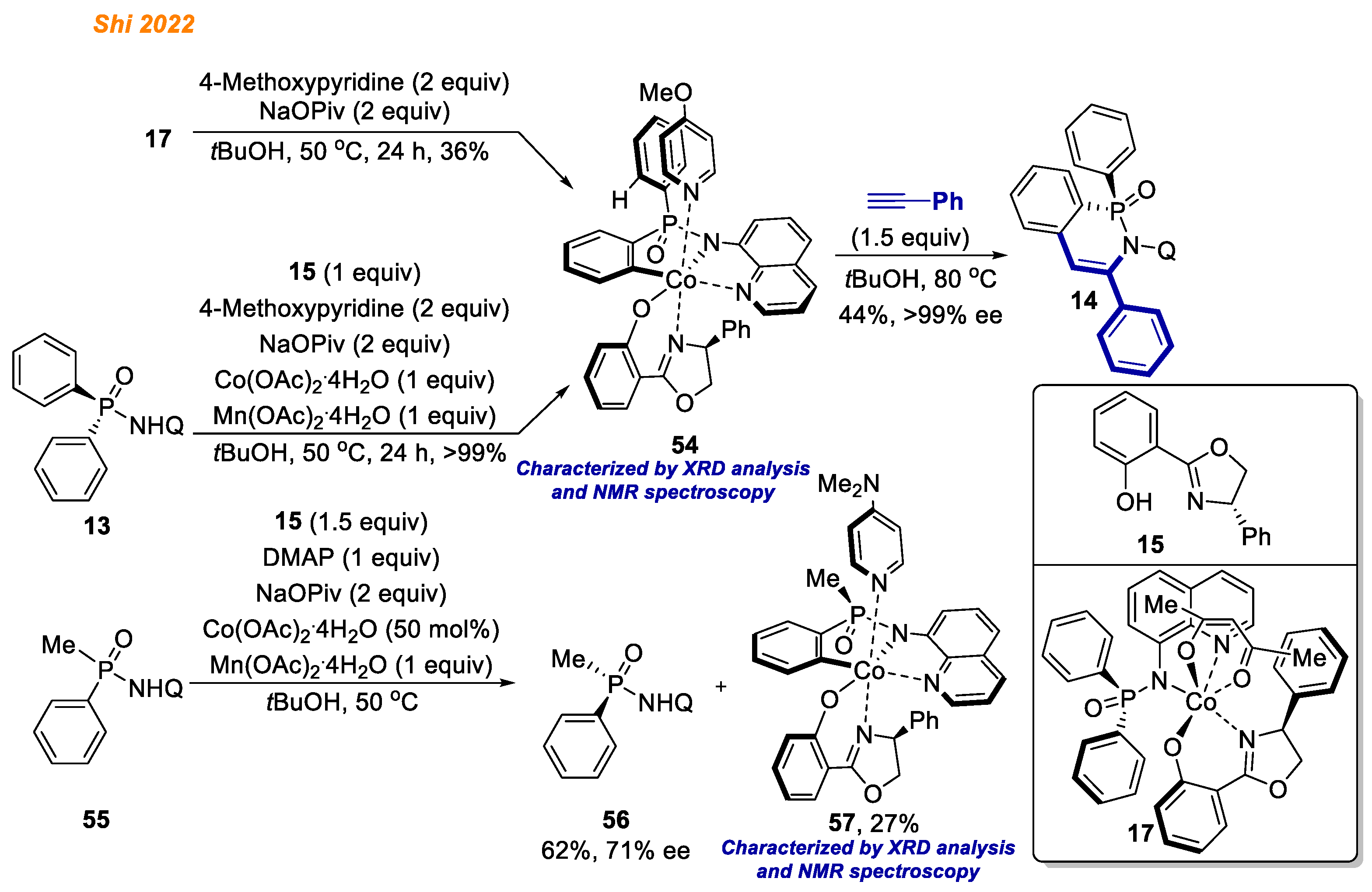 Inorganics 11 00194 sch021