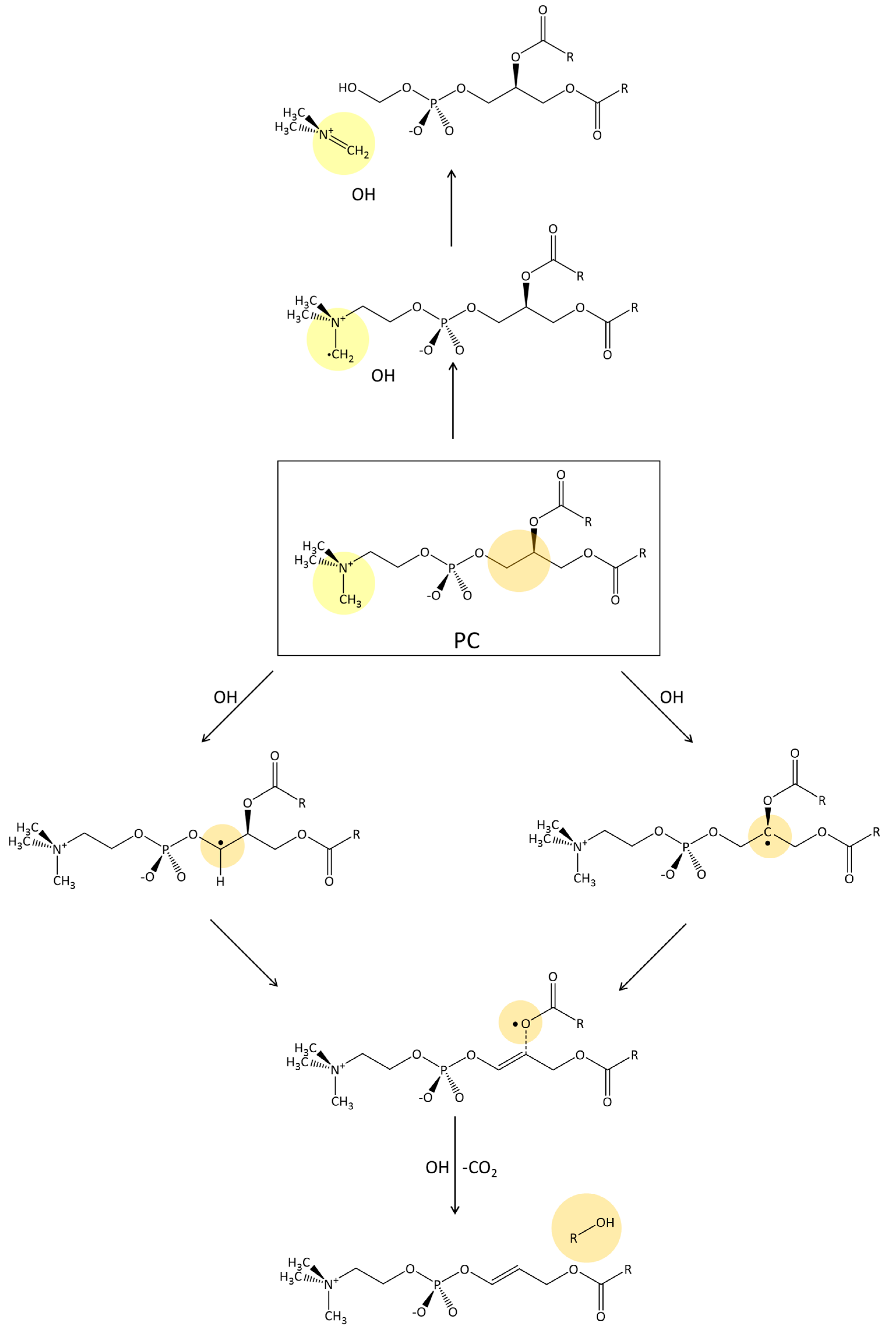 Inorganics 11 00227 g007 Inorganics 11 00227 g007