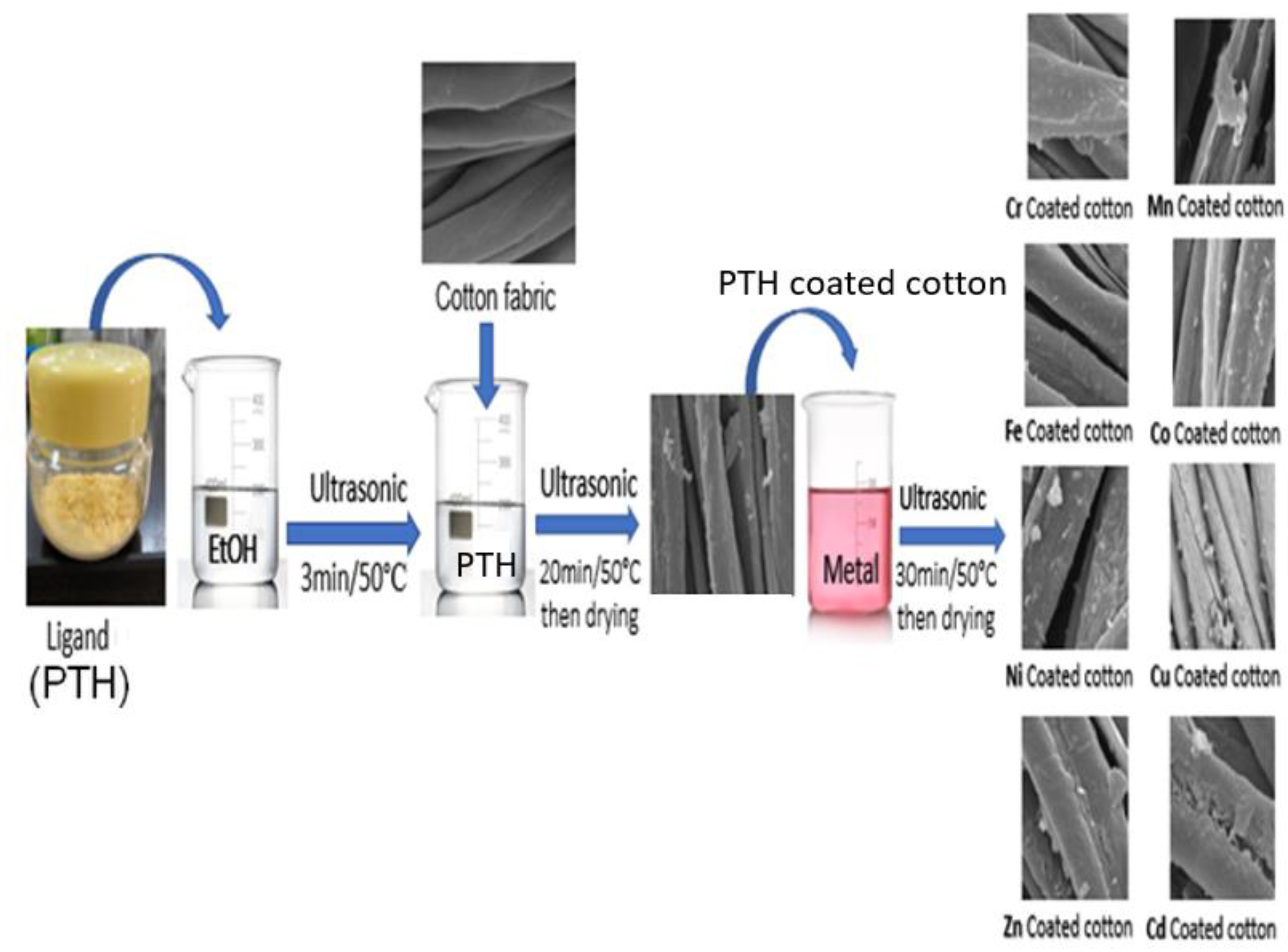 Inorganics 11 00231 g001