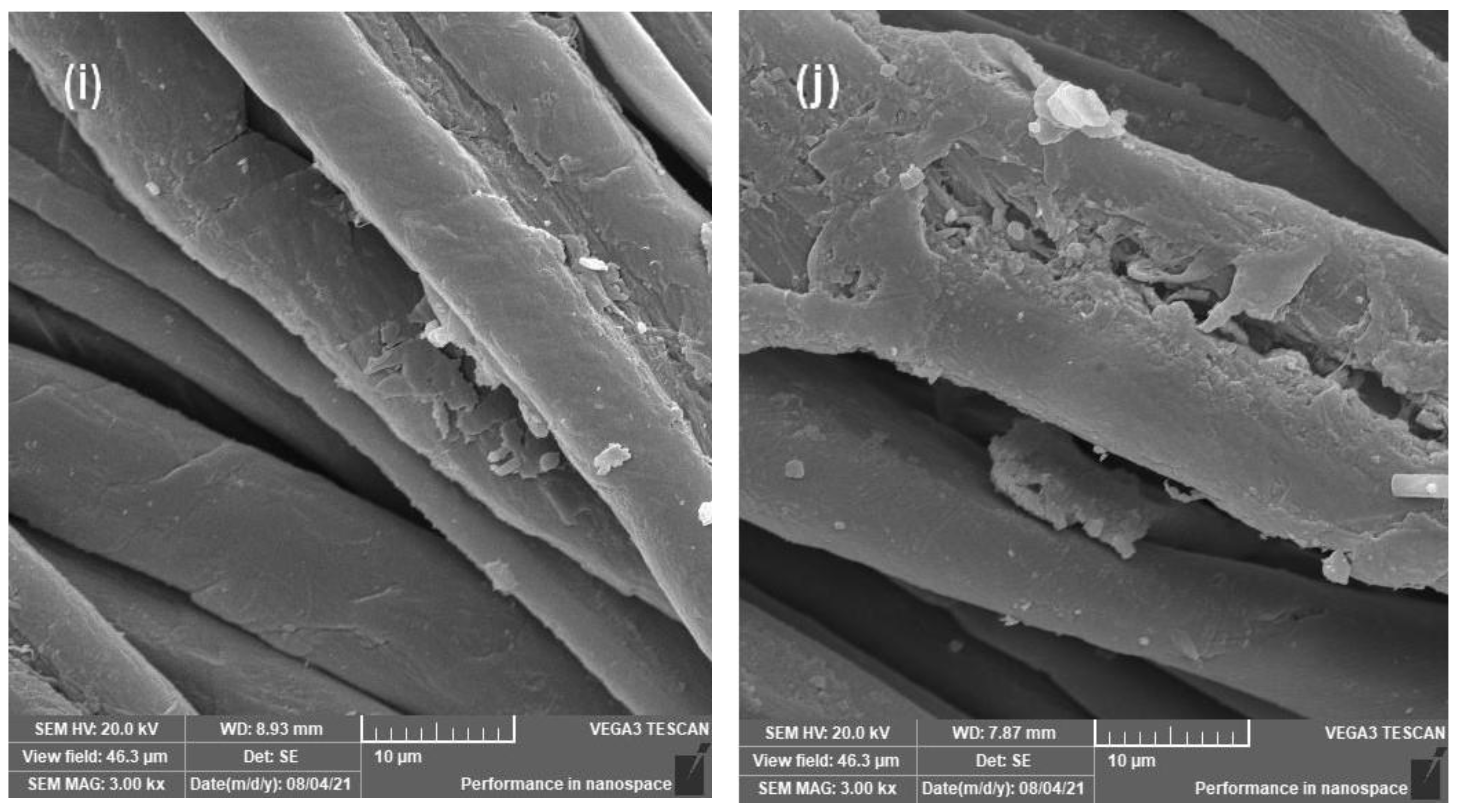 Inorganics 11 00231 g004c