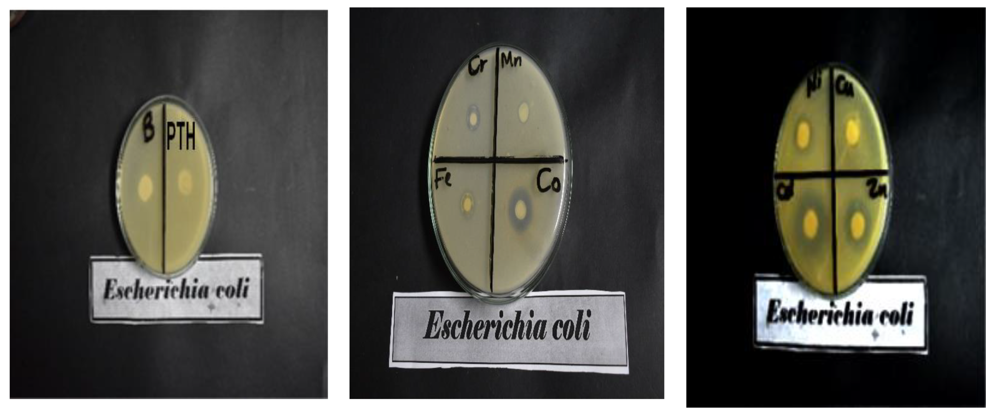 Inorganics 11 00231 g007