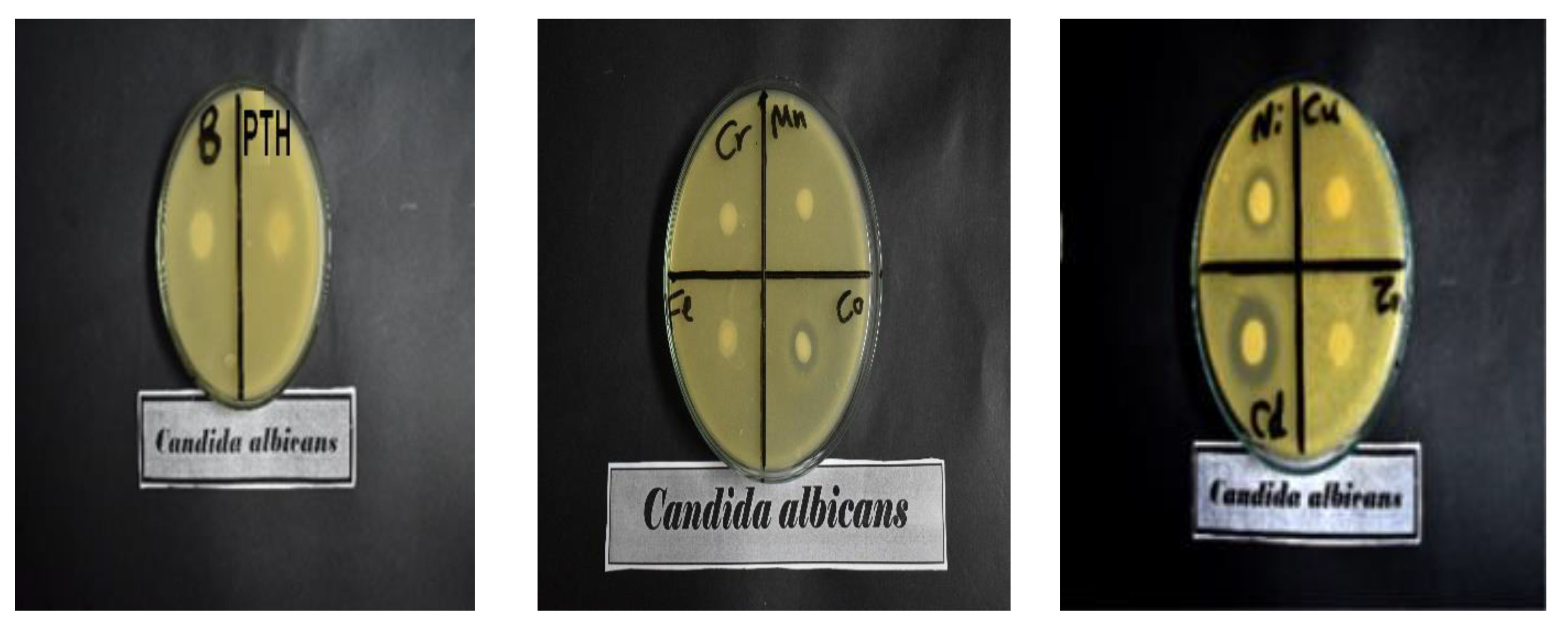 Inorganics 11 00231 g008