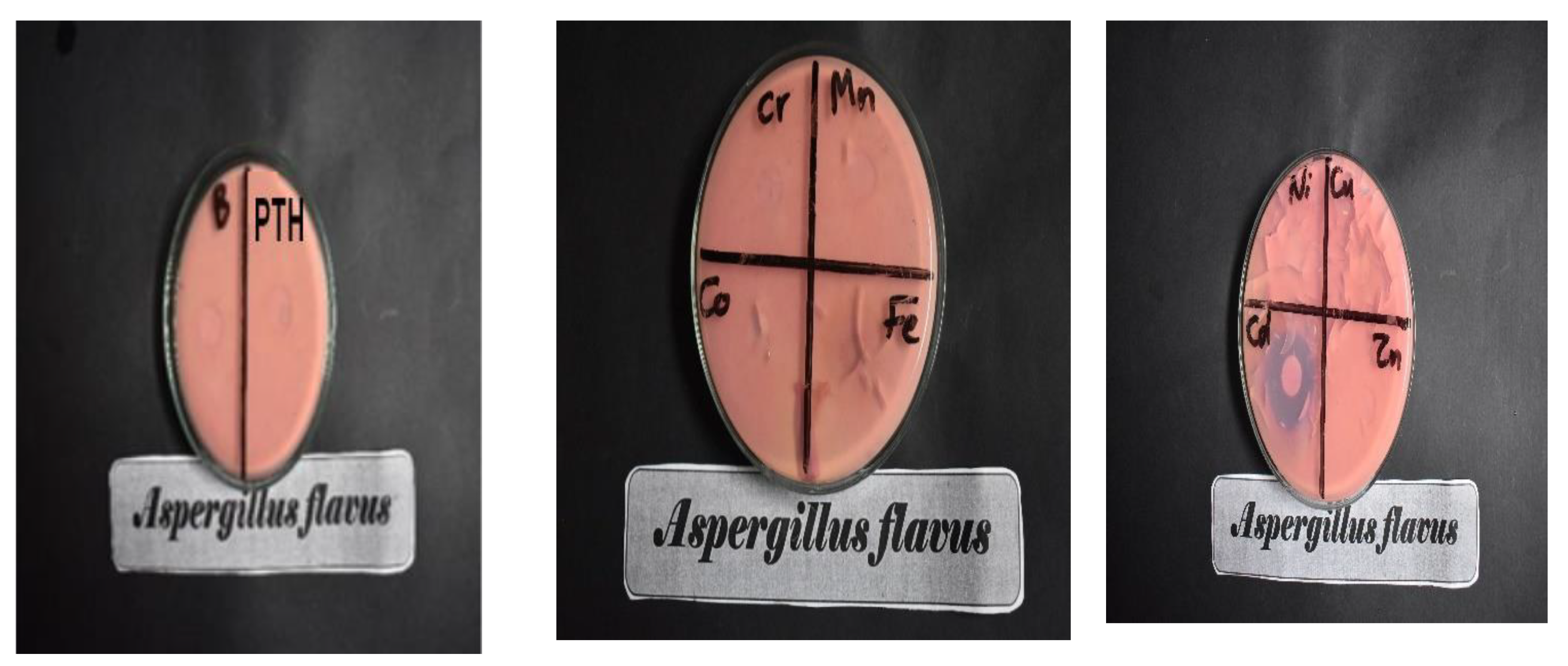 Inorganics 11 00231 g009