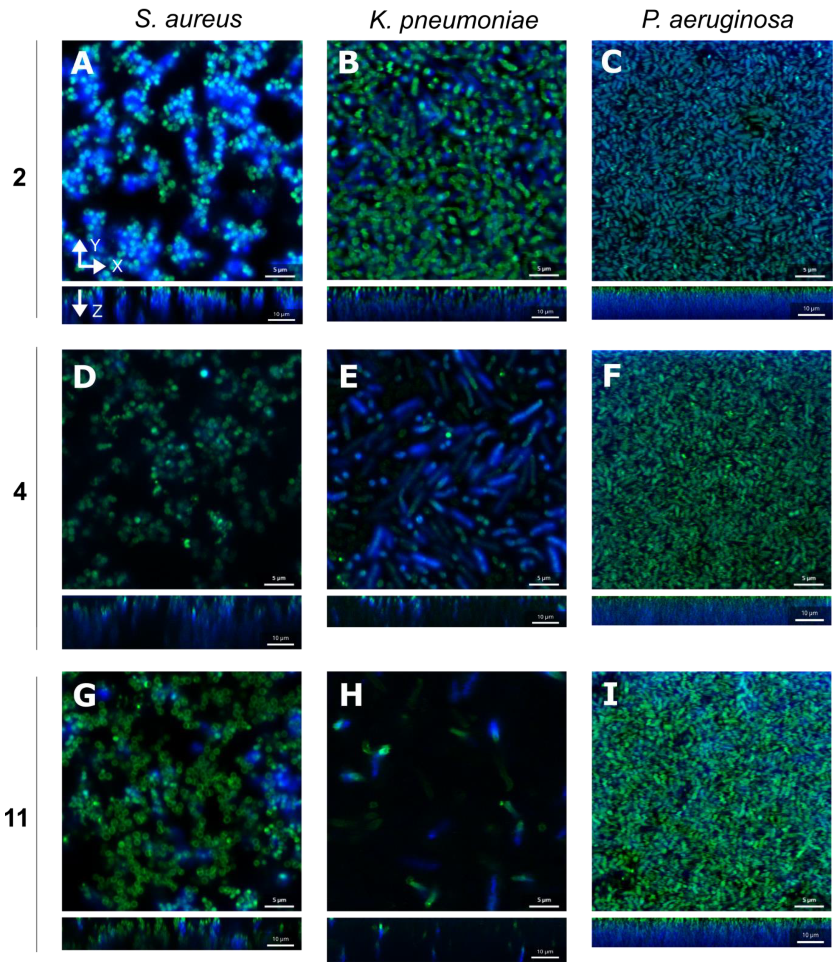 Inorganics 11 00241 g006 Inorganics 11 00241 g006