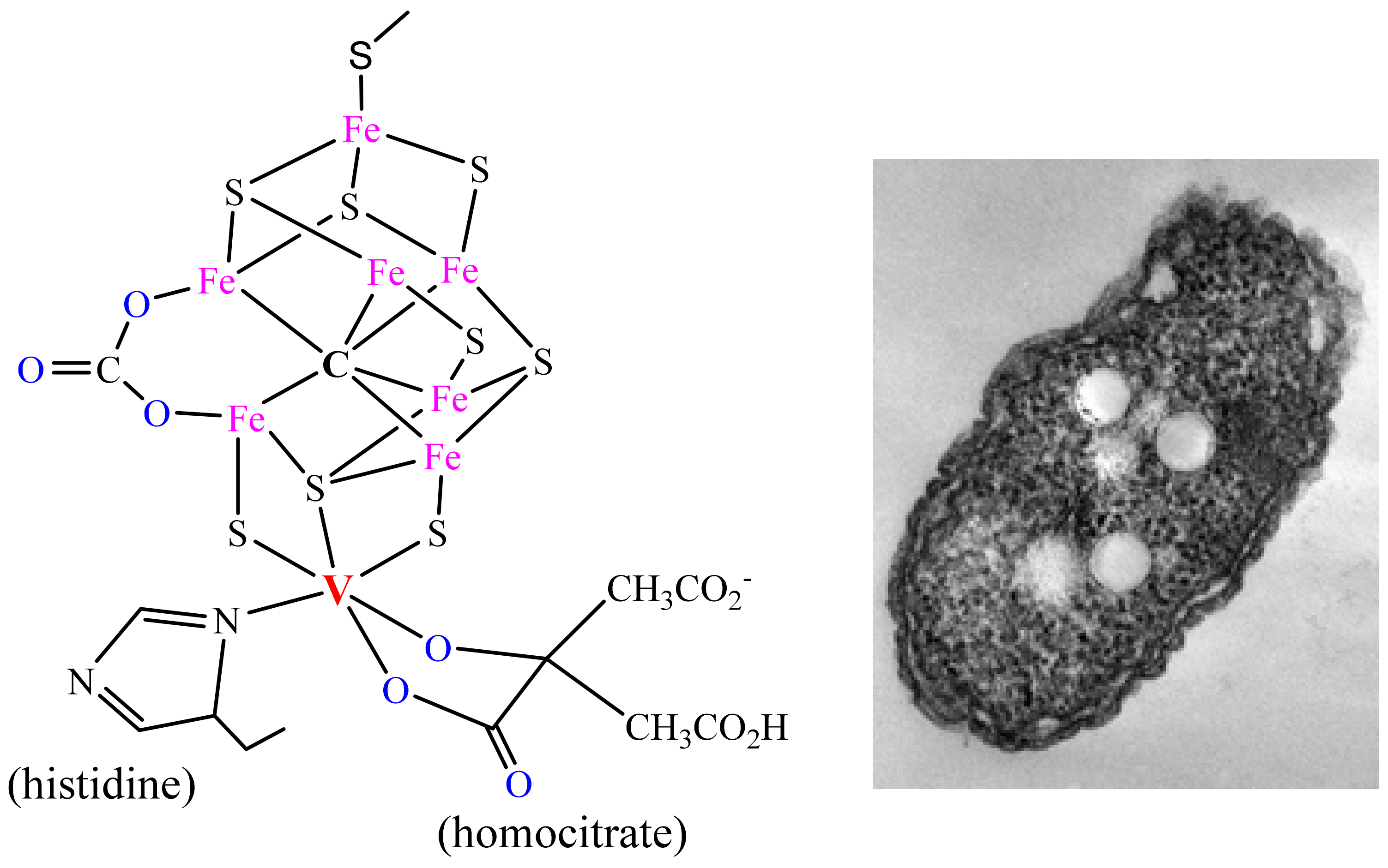 Inorganics 11 00256 g002 Inorganics 11 00256 g002