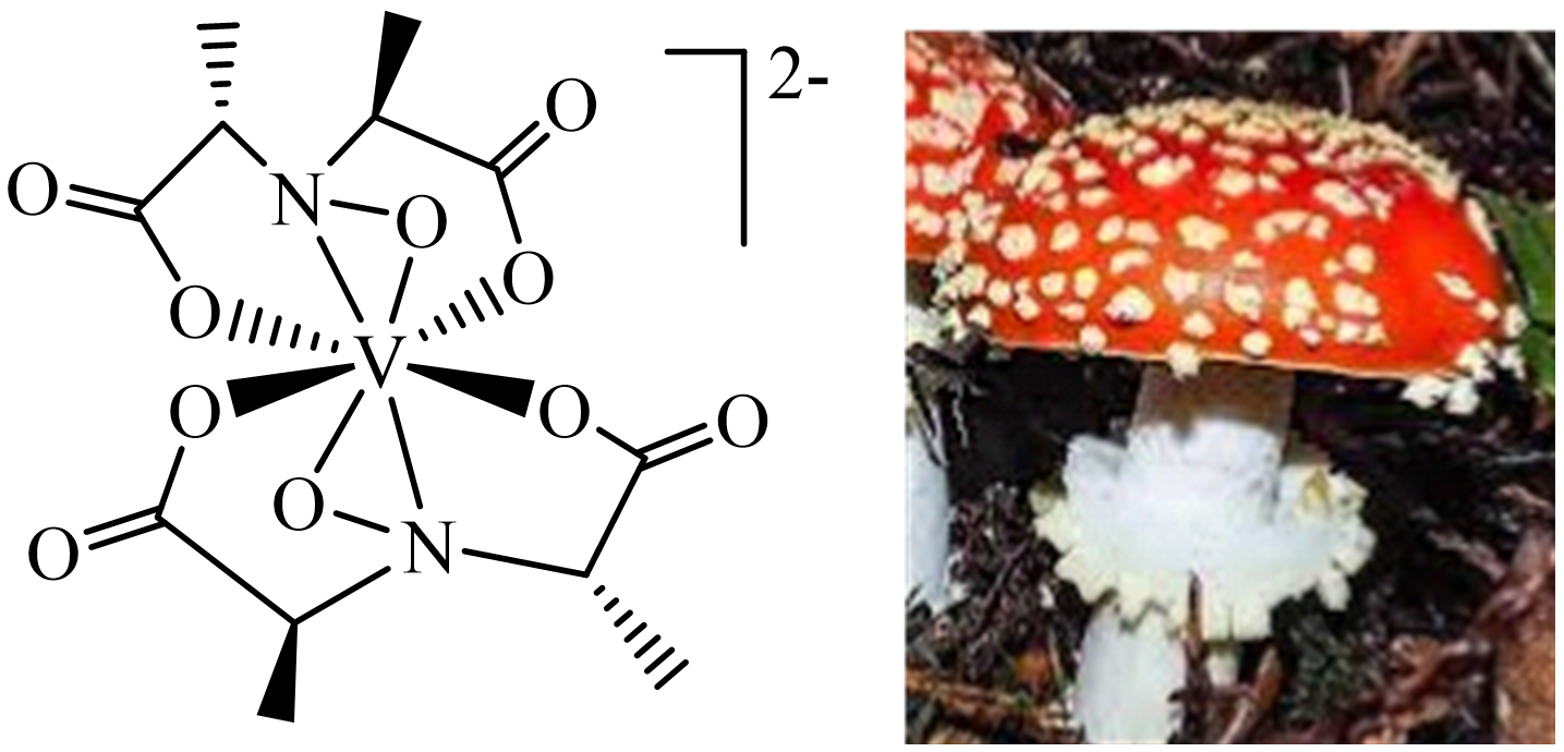 Inorganics 11 00256 g003 Inorganics 11 00256 g003