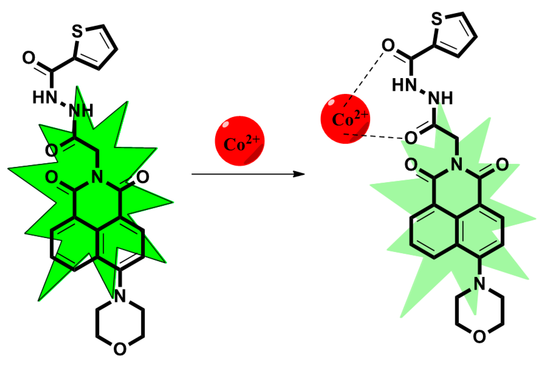Inorganics 11 00265 sch001