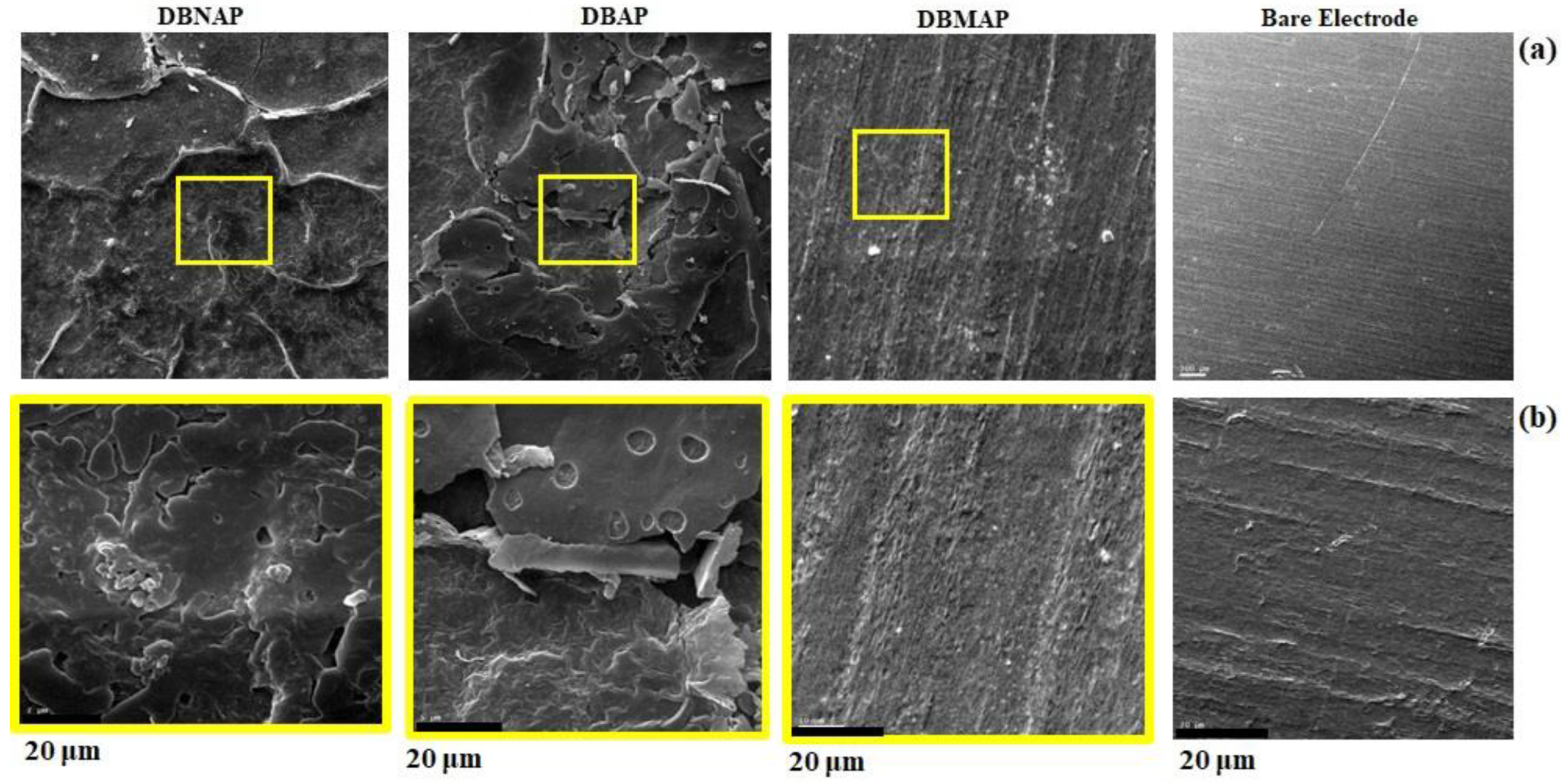 Inorganics 11 00275 g011
