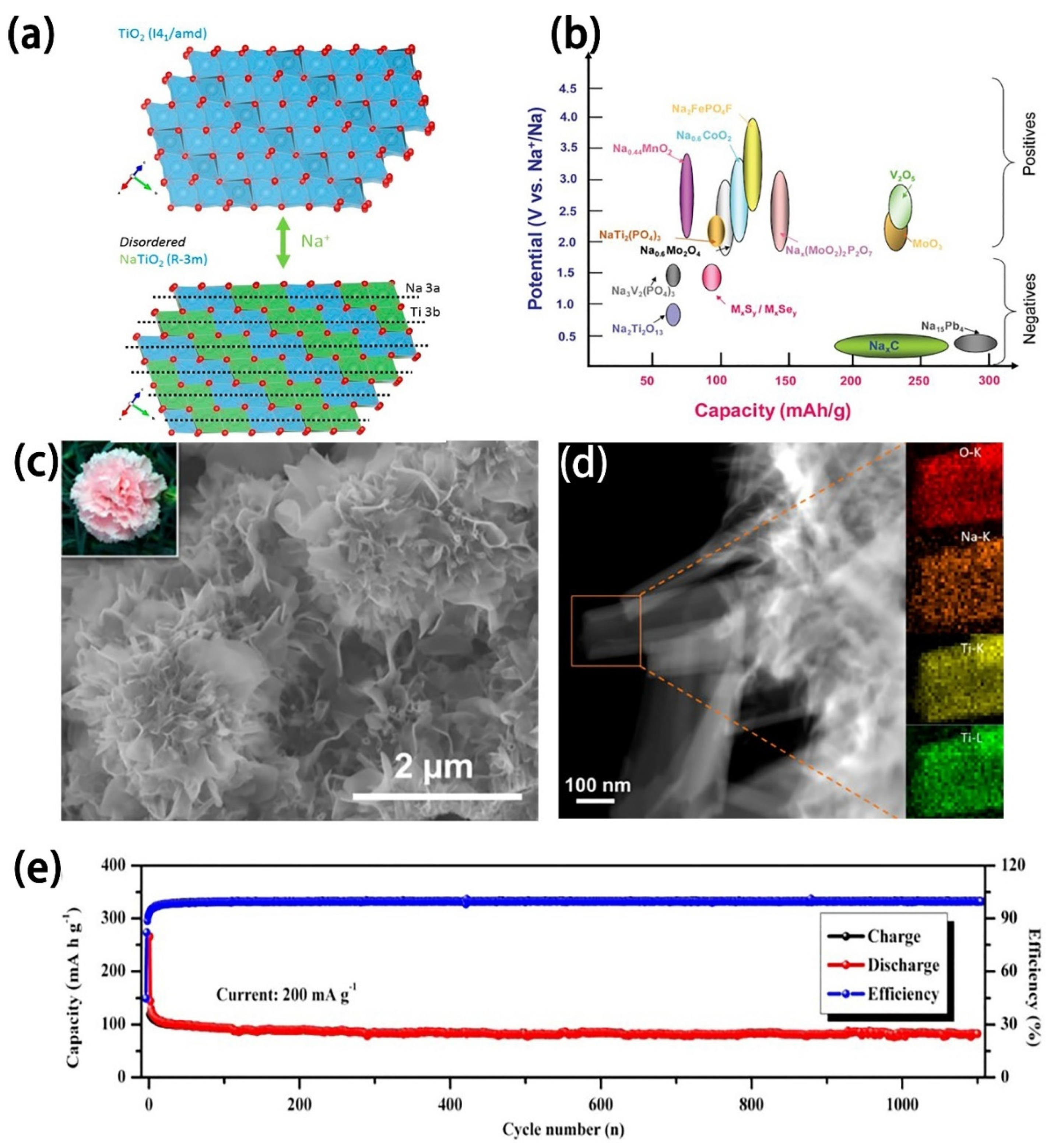 Inorganics 11 00289 g002