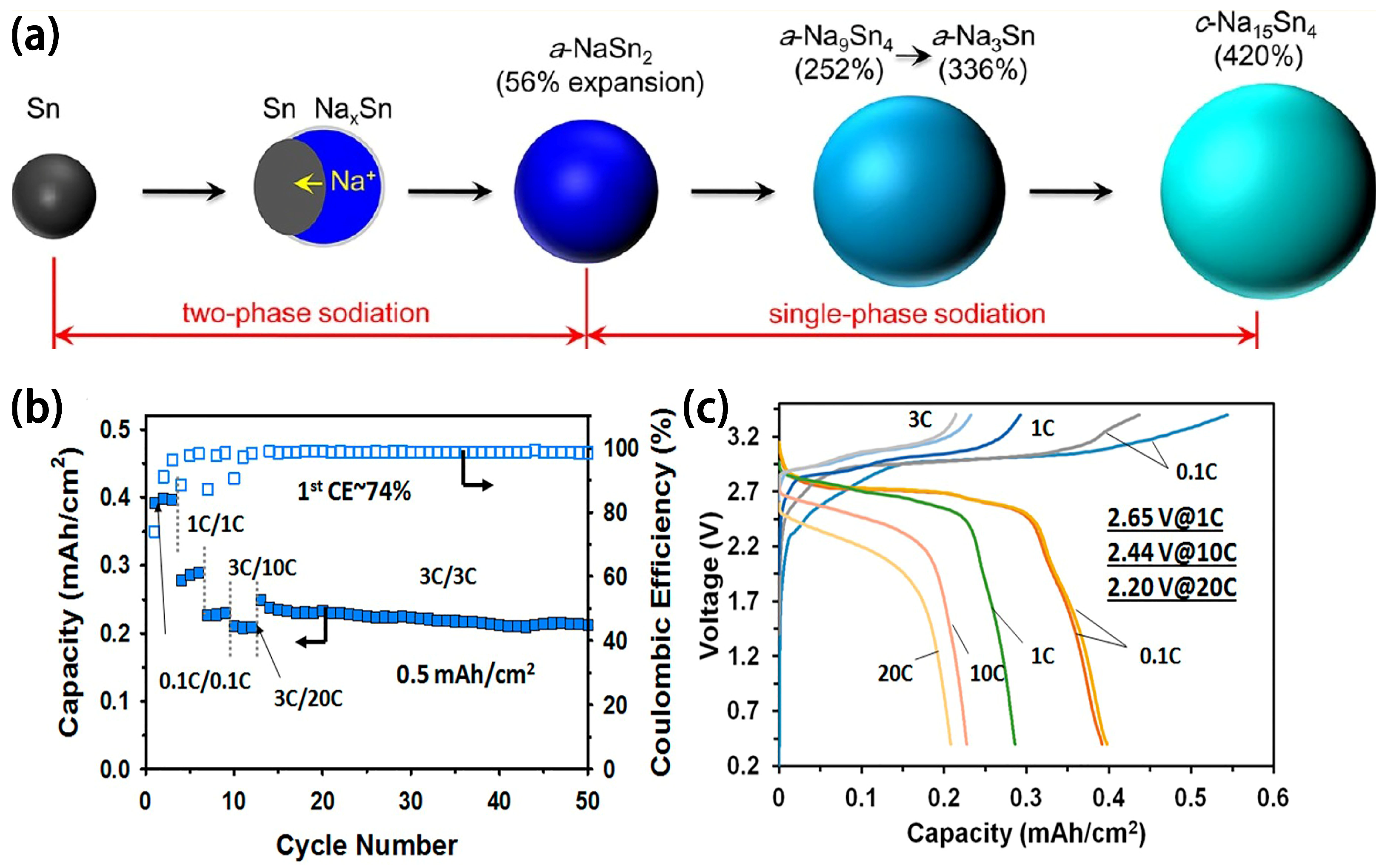 Inorganics 11 00289 g003