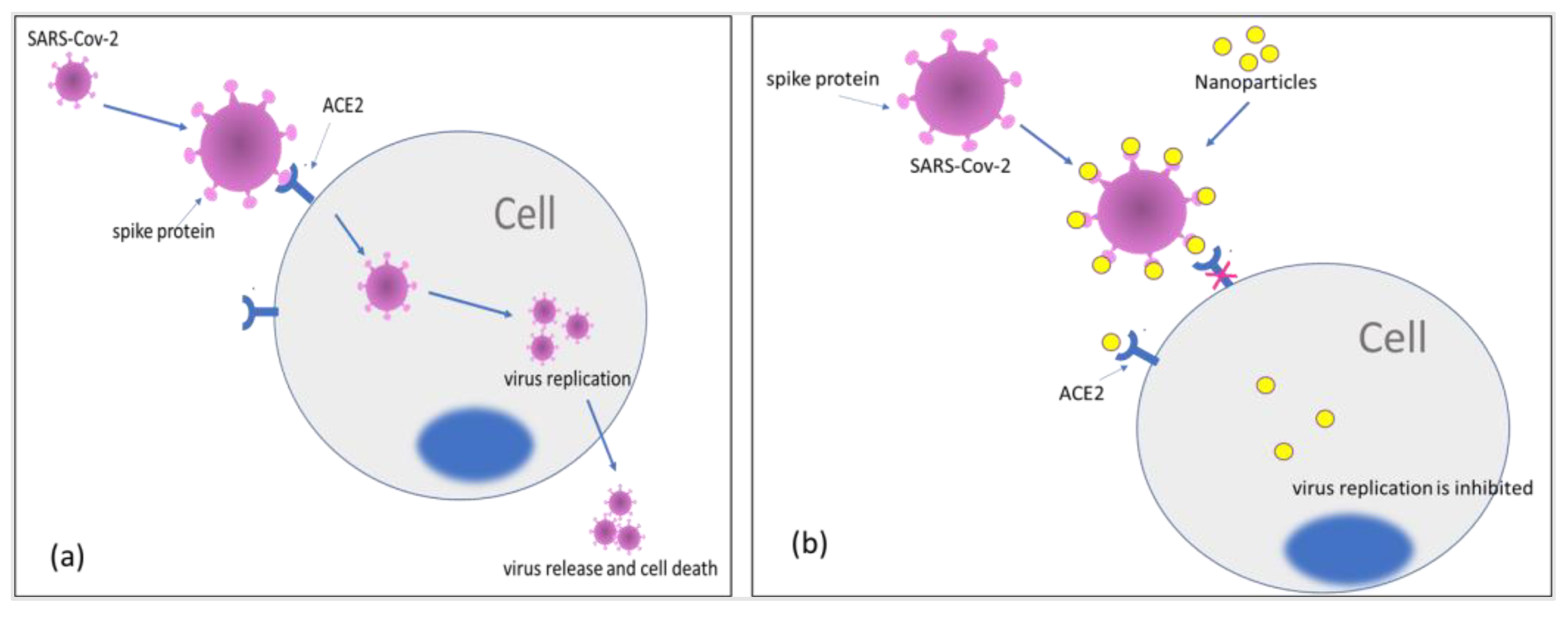 Inorganics 11 00294 g006