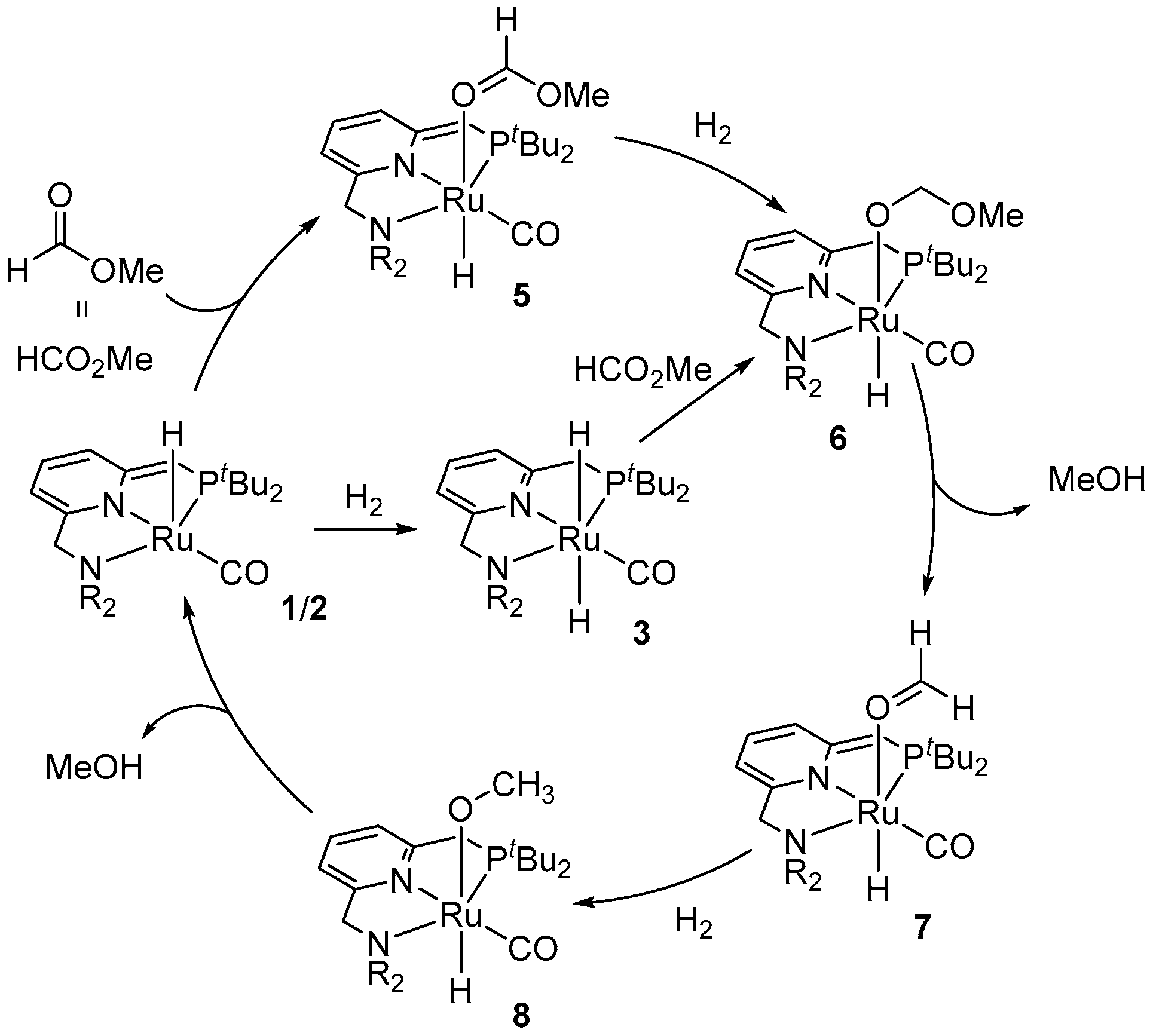 Inorganics 11 00302 sch003 Inorganics 11 00302 sch003
