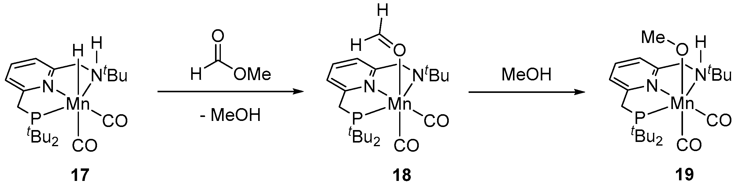 Inorganics 11 00302 sch007 Inorganics 11 00302 sch007