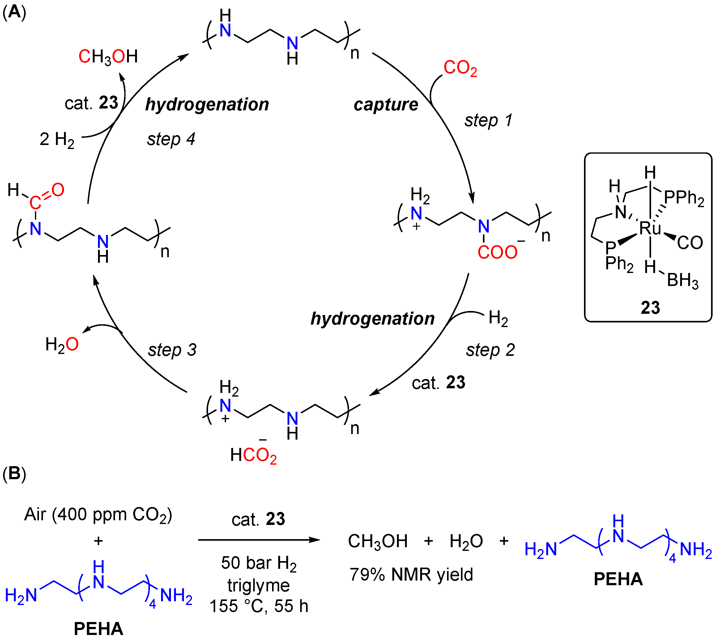 Inorganics 11 00302 sch013 Inorganics 11 00302 sch013