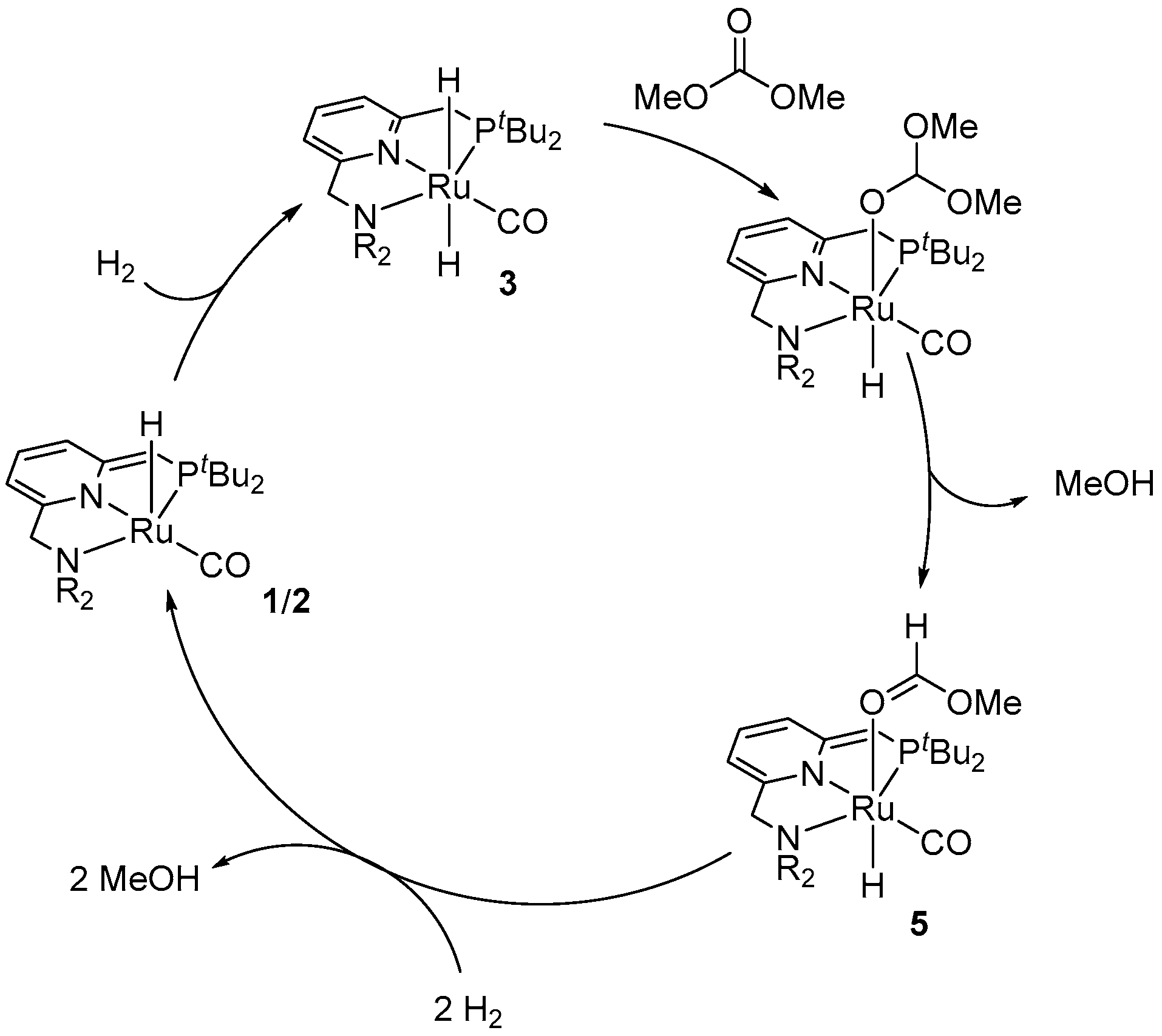 Inorganics 11 00302 sch023 Inorganics 11 00302 sch023