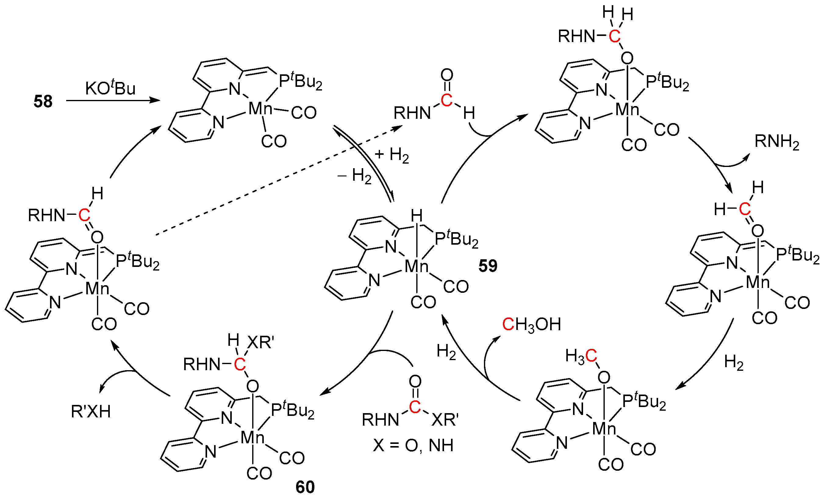 Inorganics 11 00302 sch043 Inorganics 11 00302 sch043