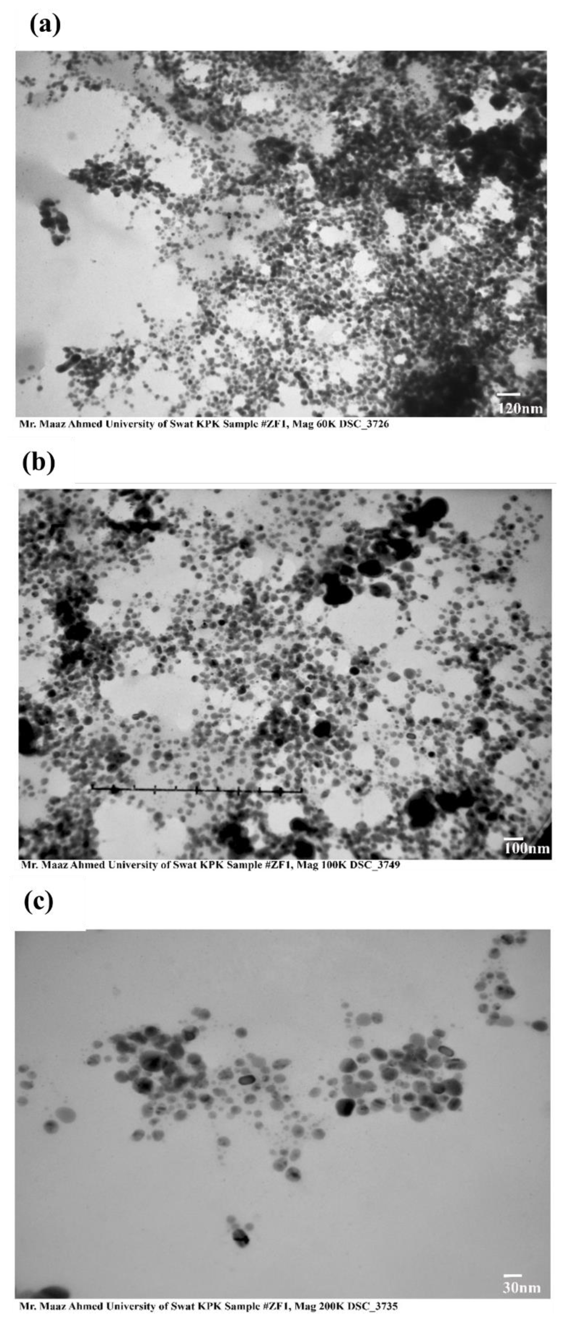 Inorganics 11 00309 g003