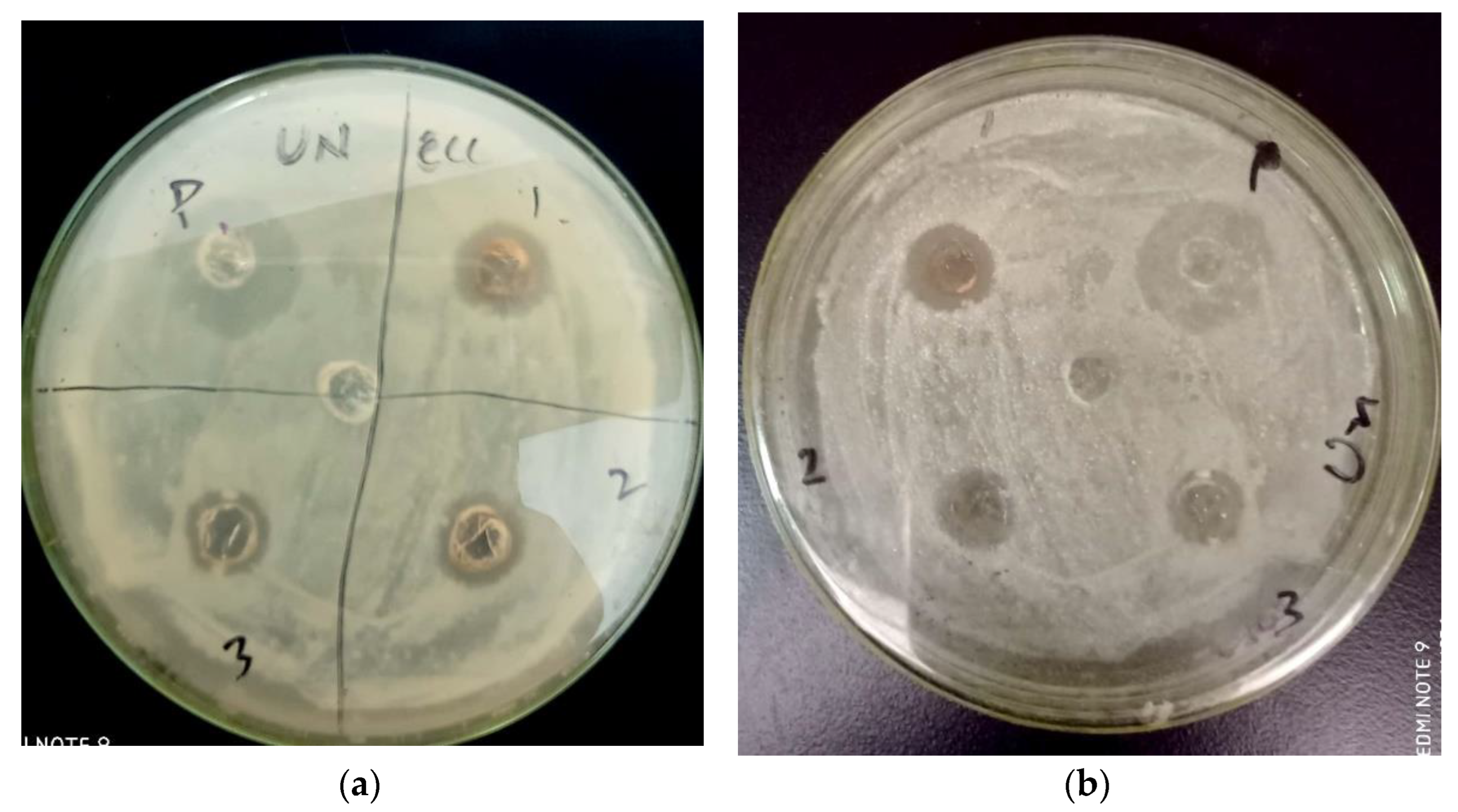 Inorganics 11 00309 g008