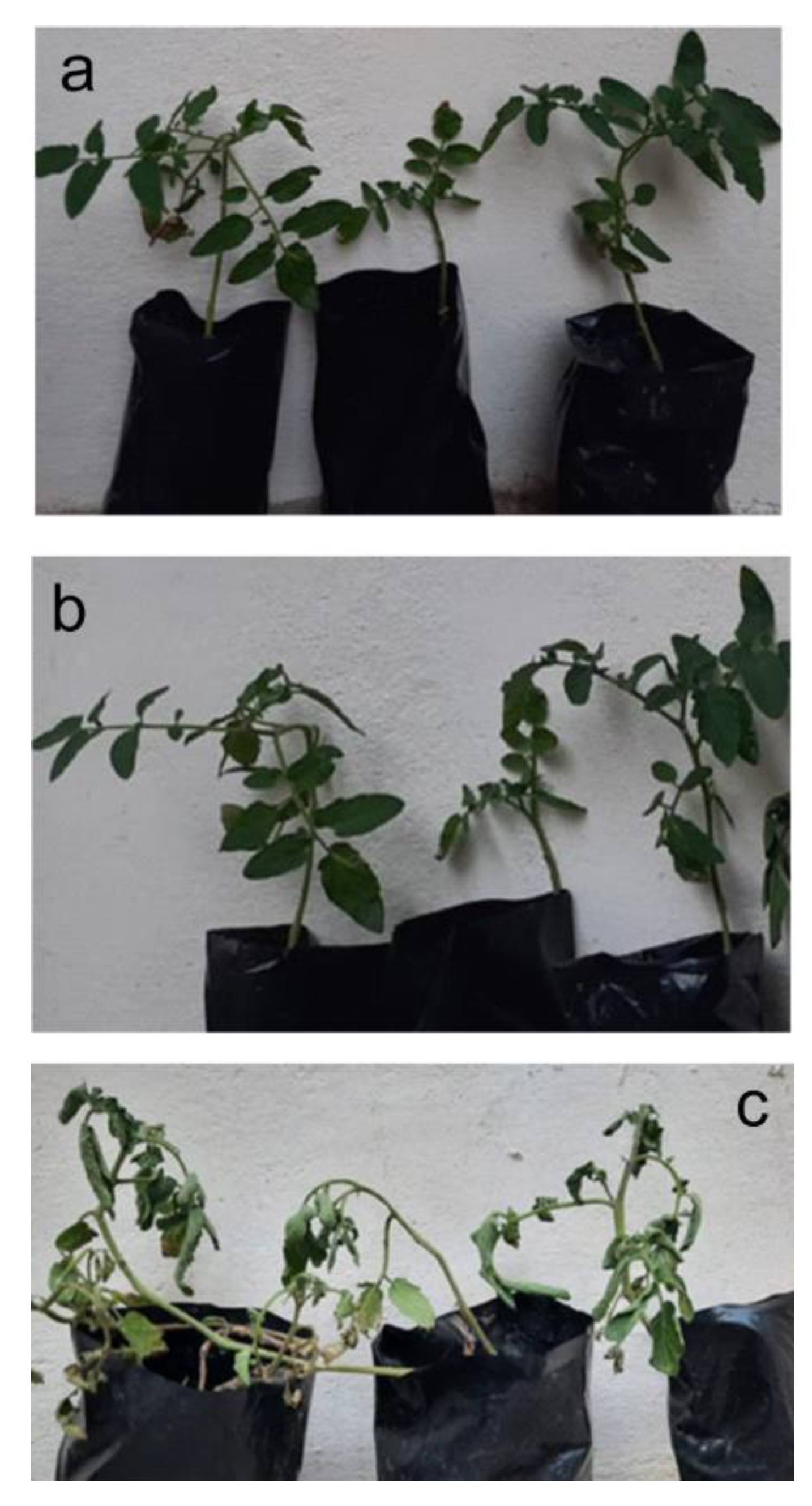 Inorganics 11 00309 g010