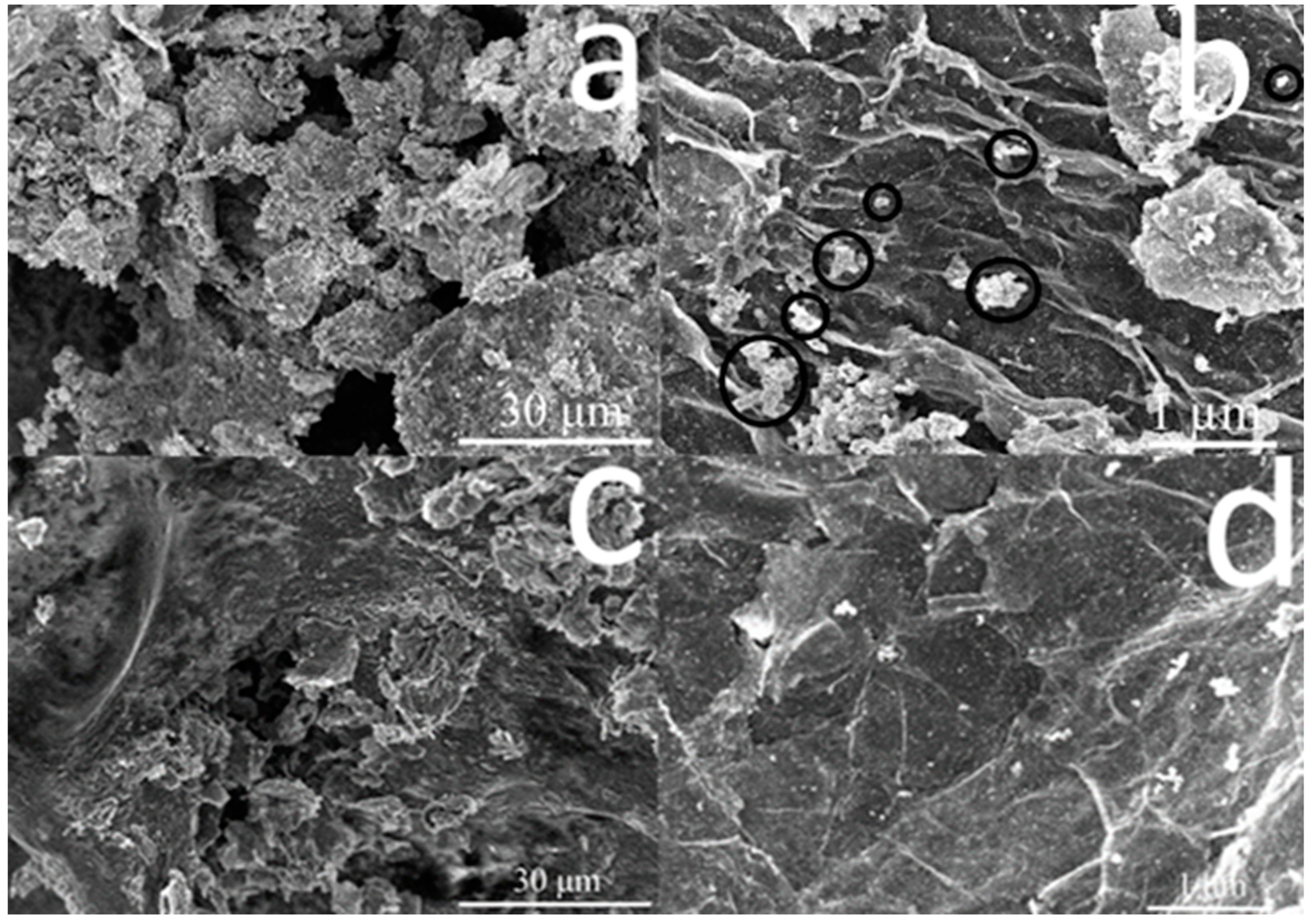 Inorganics 11 00325 g001