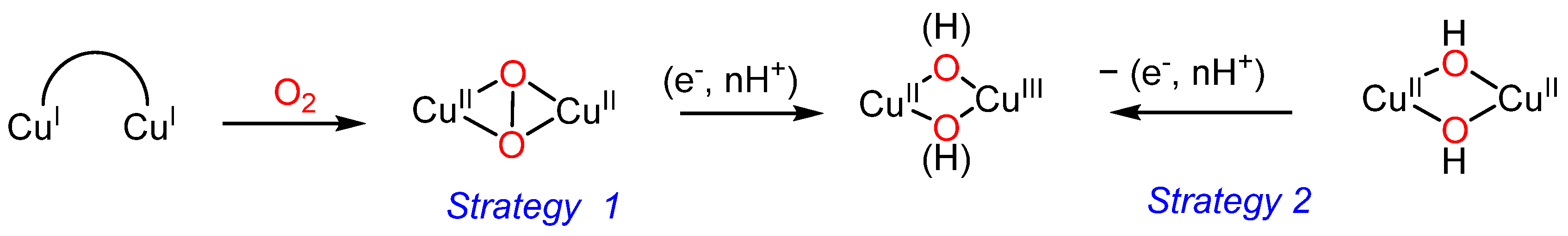 Inorganics 11 00332 sch003
