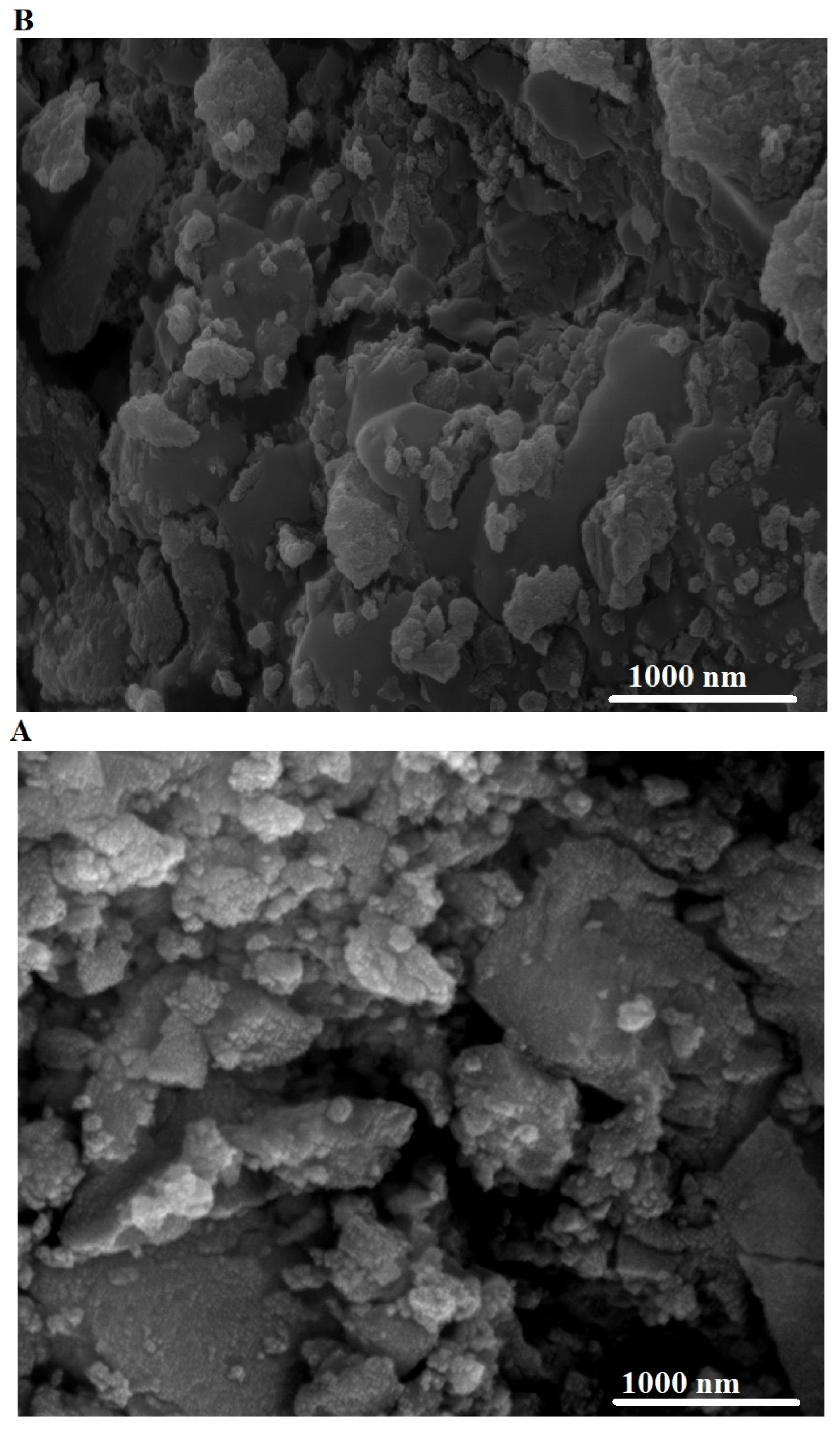 Inorganics 11 00333 g008