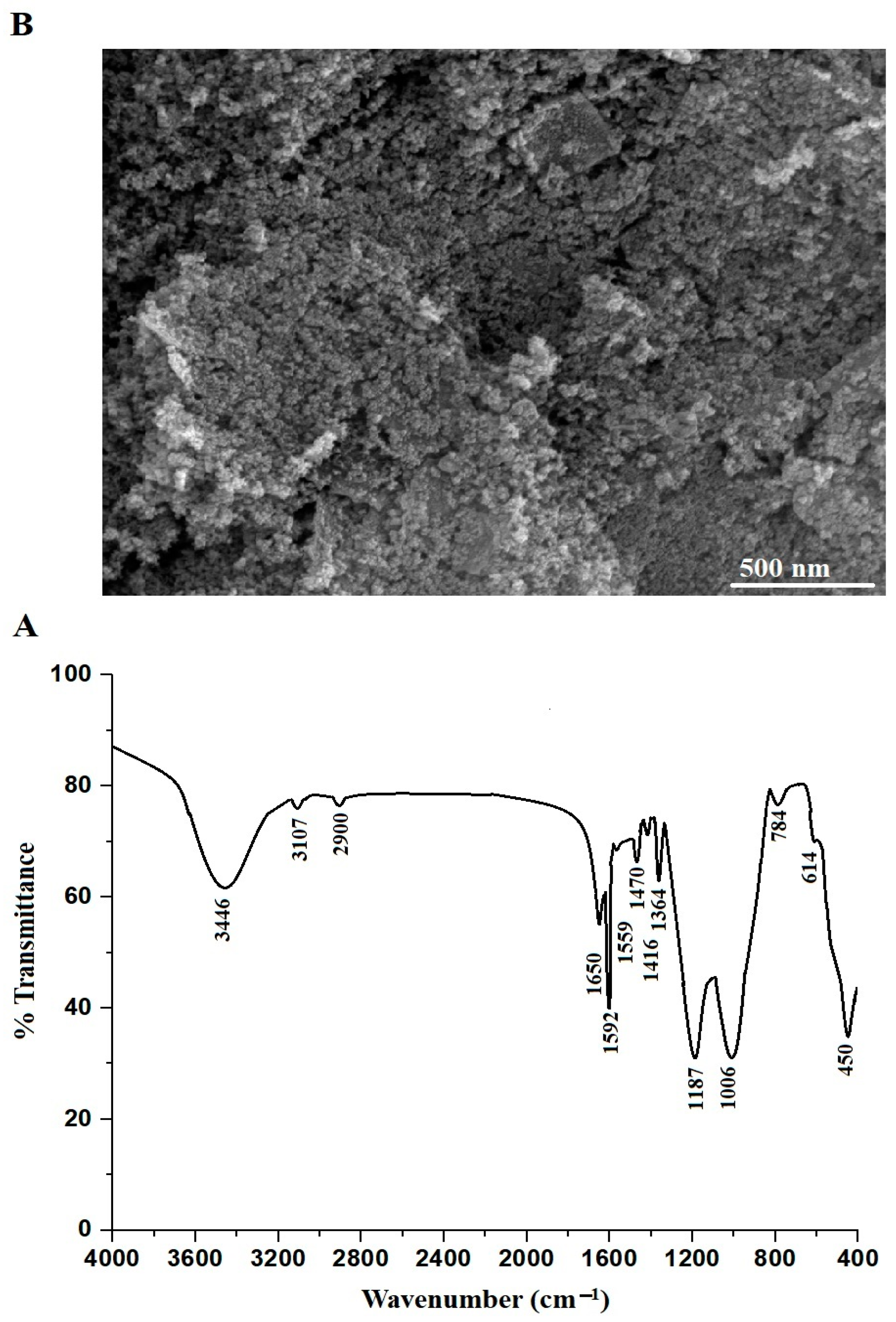 Inorganics 11 00339 g008