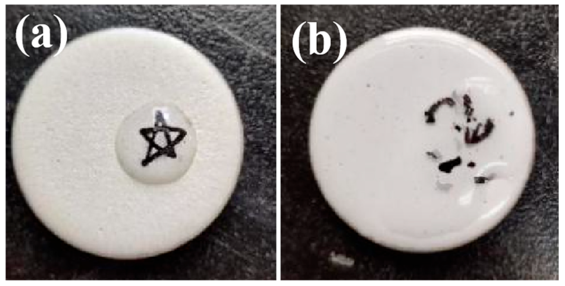 Inorganics 11 00341 g013