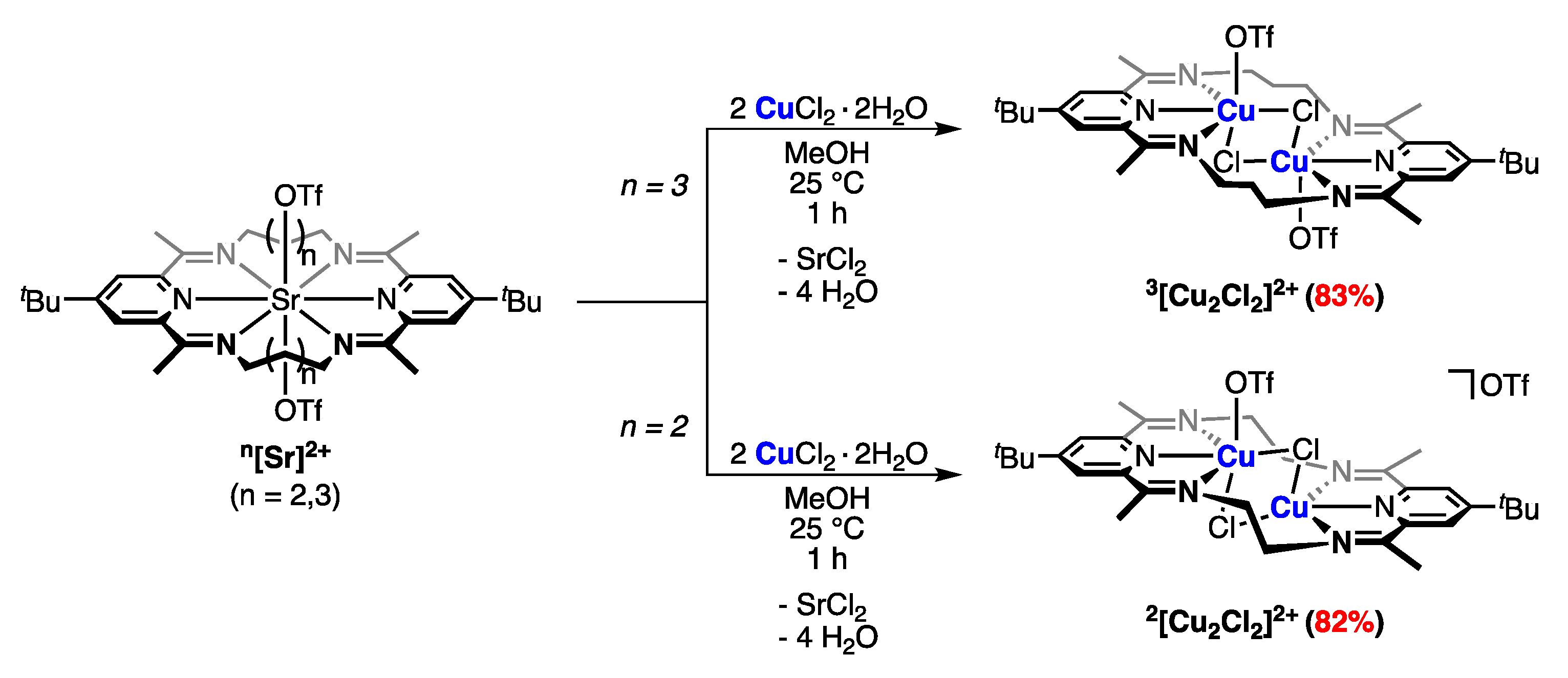 Inorganics 11 00348 sch001