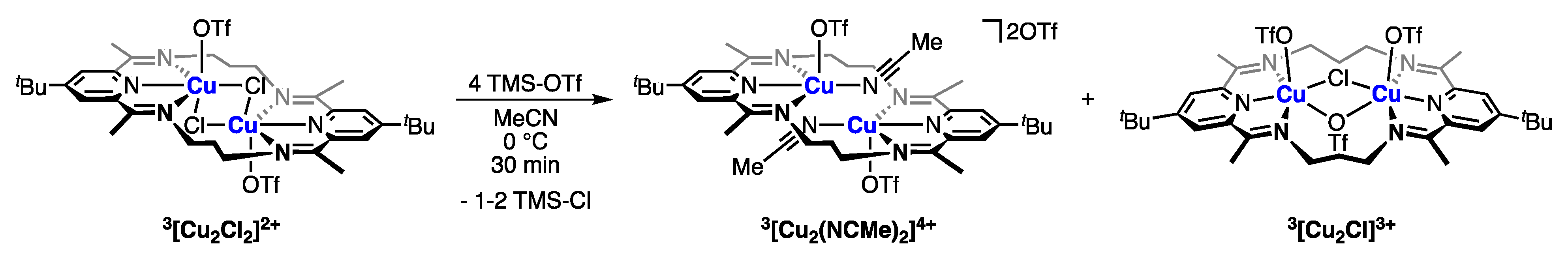 Inorganics 11 00348 sch002