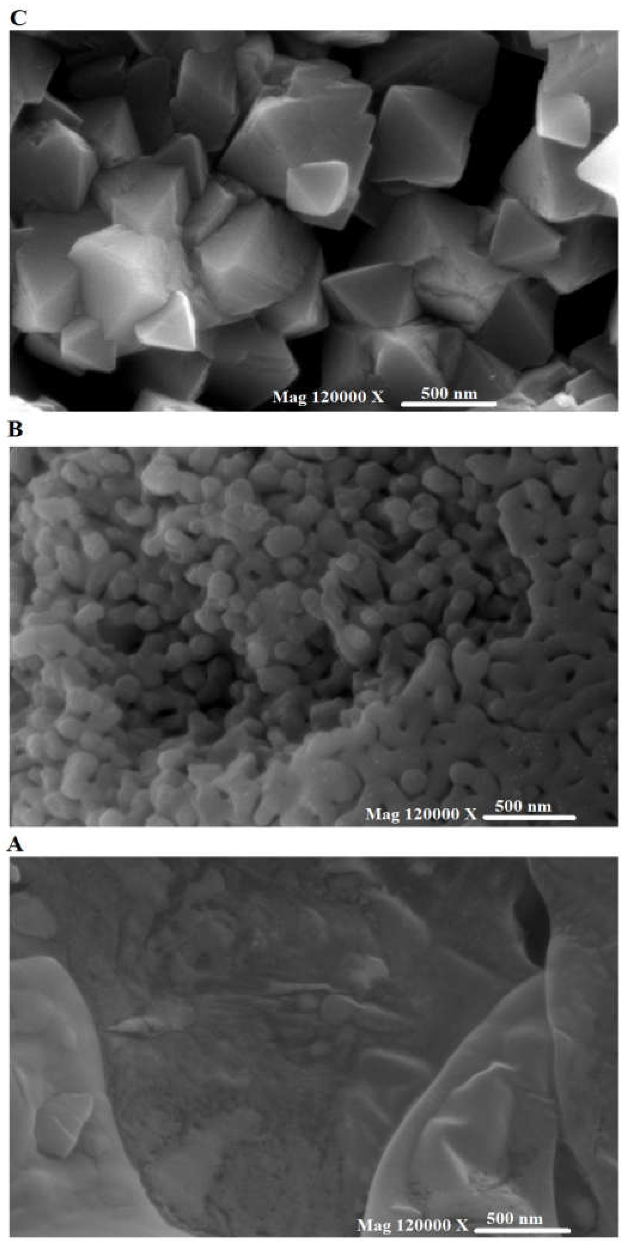 Inorganics 11 00363 g003