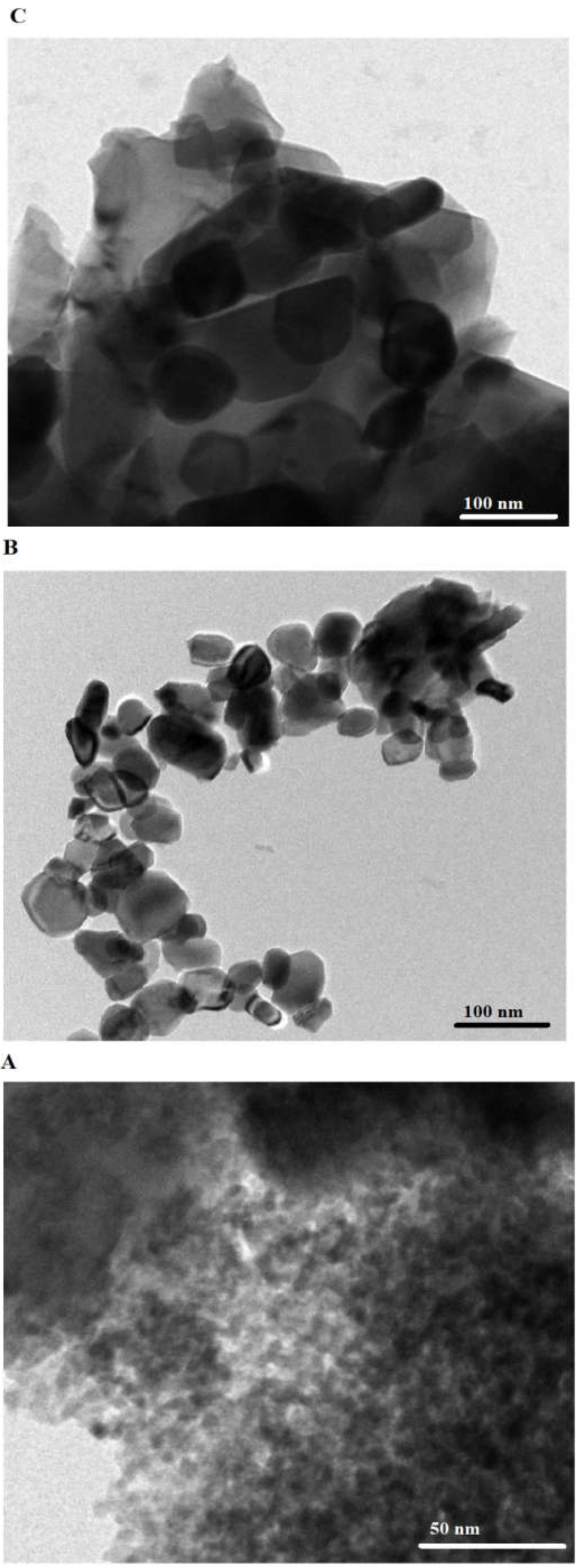 Inorganics 11 00363 g004