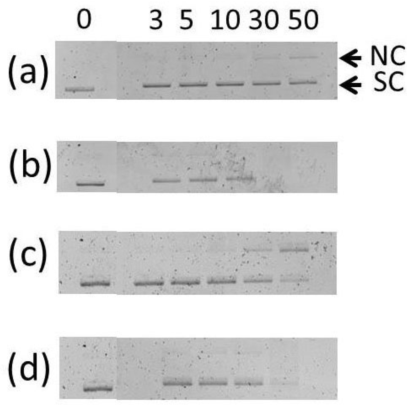 Inorganics 11 00396 g007