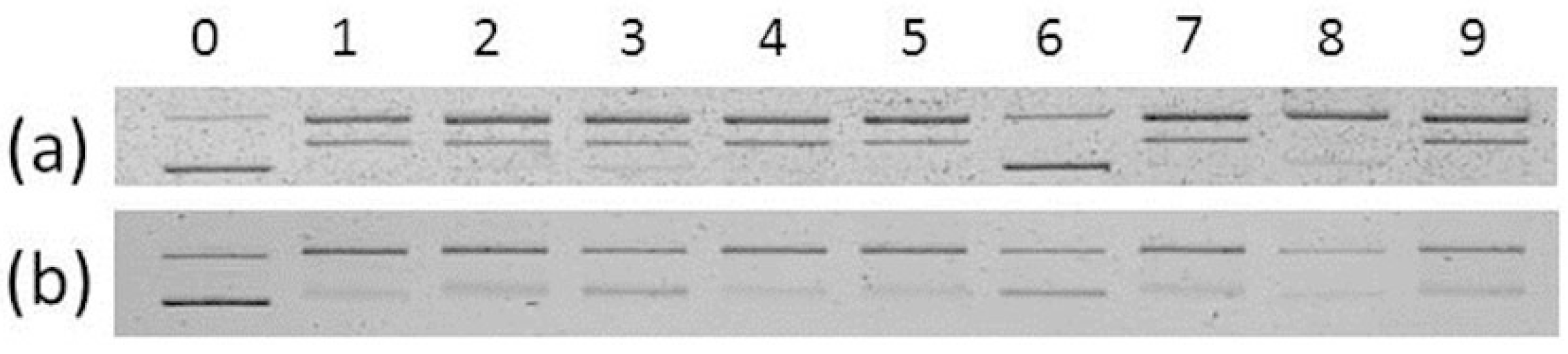 Inorganics 11 00396 g009