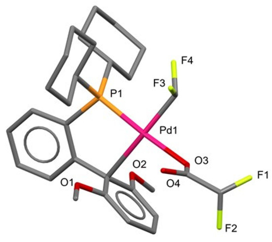 A Single Biaryl Monophosphine Ligand Motif—The Multiverse of