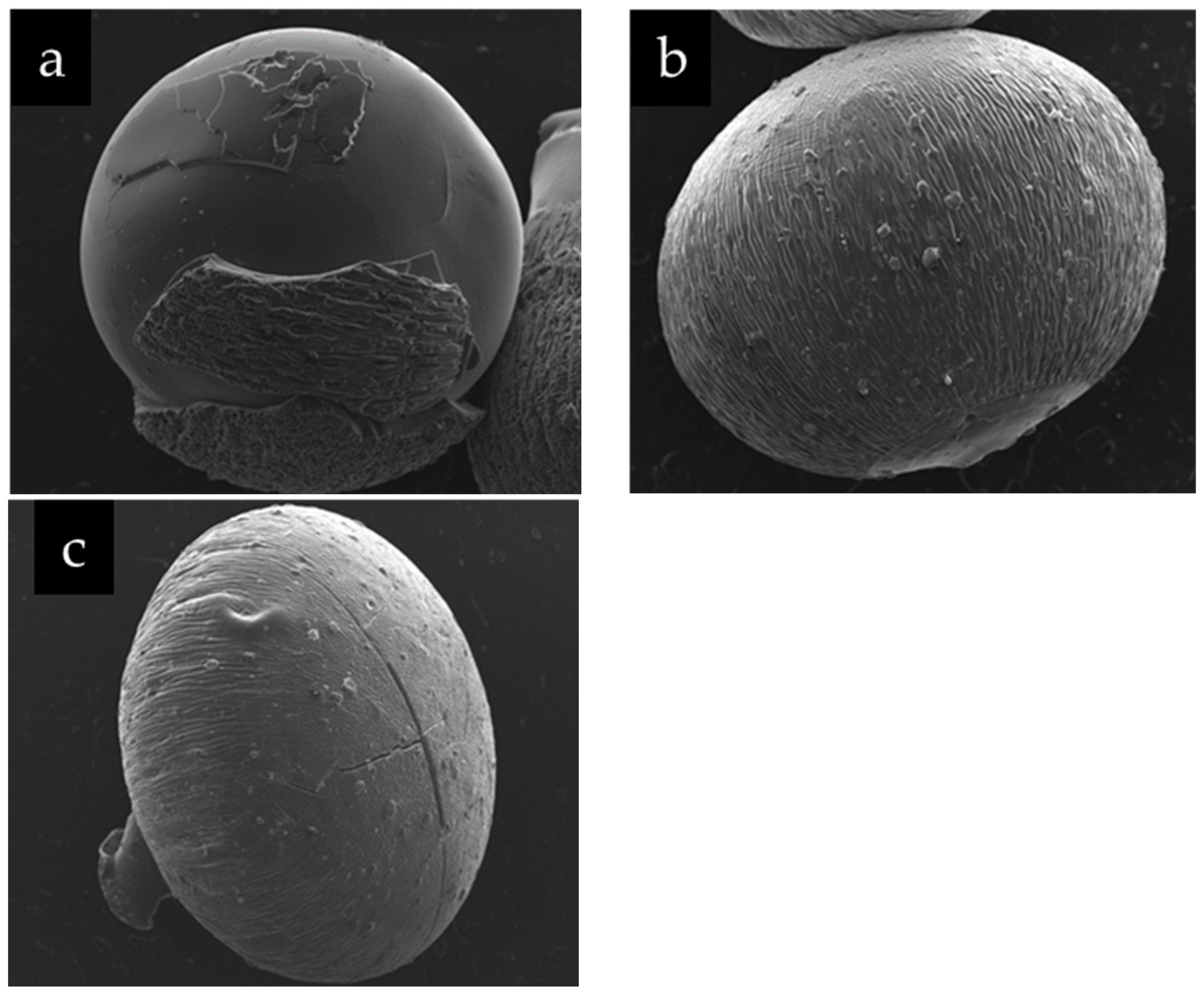 Inorganics 11 00428 g003