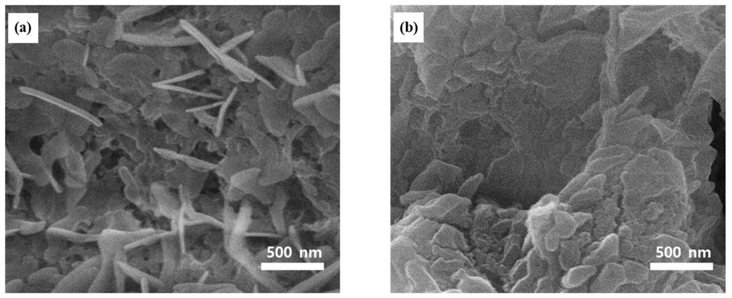 Inorganics 11 00440 g010