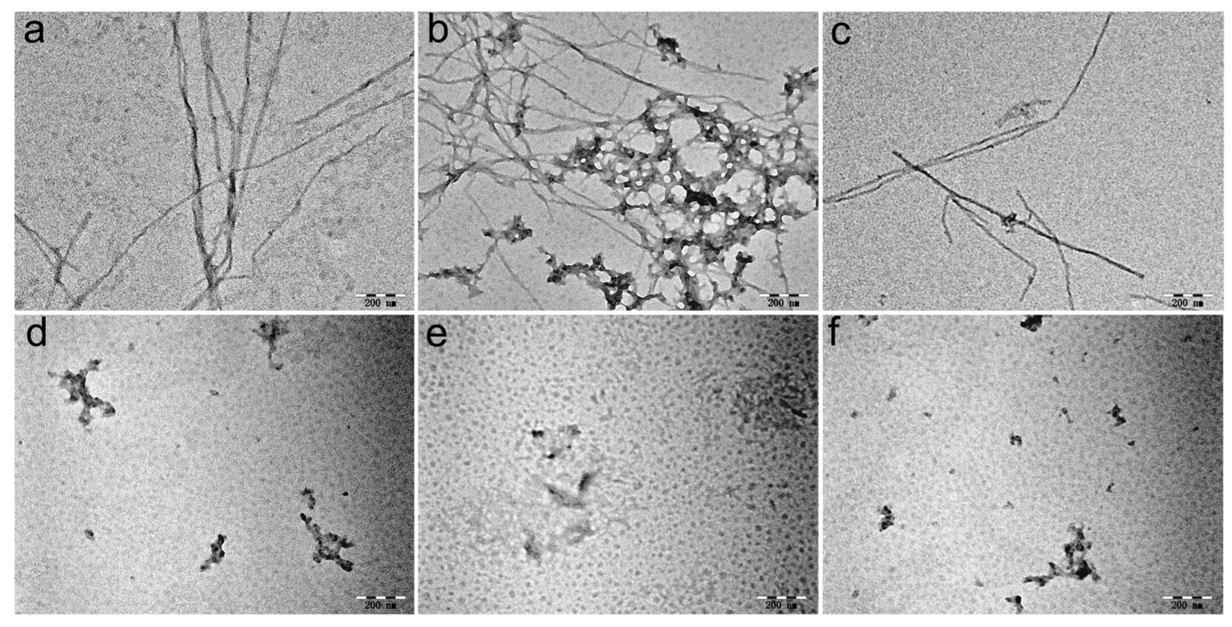 Inorganics 11 00442 g006