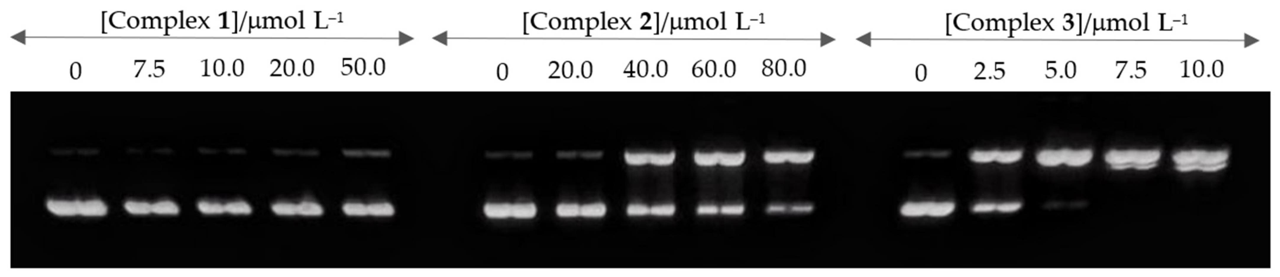Inorganics 11 00445 g007